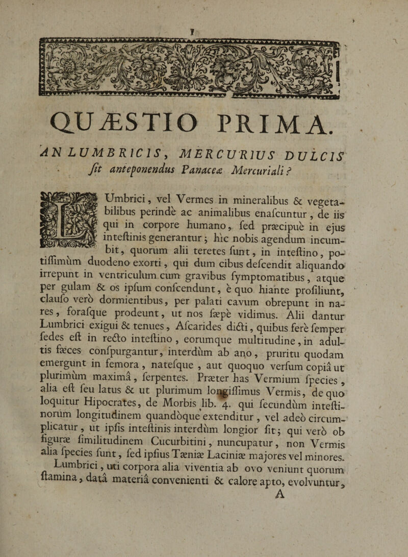QUESTIO PRIMA. AN LUMBRICIS, MERCURIUS DULCIS Jit anteponendus Panacea Mercuriali ? « Umbrici, vel Vermes in mineralibus &amp; vegeta¬ bilibus perinde ac animalibus enafcuntur, de iis qui in corpore humano, fed praecipue in ejus inteftinis generantur; hic nobis agendum incum- v j bit’ ftuorum alii teretes funt, in inteftino, po¬ ti fumum duodeno exorti, qui dum cibus defcendit aliquando irrepunt in ventriculum.cum gravibus fymptomatibus, atque per gulam &amp; os ipfum confcendunt, e quo hiante proliliunt, claufo vero dormientibus, per palati cavum obrepunt in na¬ res , forafque prodeunt, ut nos fepe vidimus. Alii dantur Lumbrici exigui &amp; tenues, Aicarides difli, quibus fere femper fedes eft in reflo intellino , eorumque multitudine, in adul¬ tis feces confpurgantur, interdum ab ano, pruritu quodam emergunt in femora, natefque , aut quoquo verfum copia ut plurimum maxima, ferpentes. Praeter has Vermium fpecies , alia eft feu latus &amp; ut plurimum longiillmus Vermis, de quo loquitur Hipocrates, de Morbis lib. 4* qui fecundum intefti- norum longitudinem quandoque extenditur , vel adeo circum¬ plicatur , ut ipfis inteftinis interdum longior fit; qui vero ob figurae fimilitudinem Cucurbitini, nuncupatur, non Vermis alia fpecies funt, fed ipfius Taeniae Laciniae majores vel minores. Lumbrici, ud corpora alia viventia ab ovo veniunt quorum itamina,data materia convenienti &amp; calore apto, evolvuntur> A