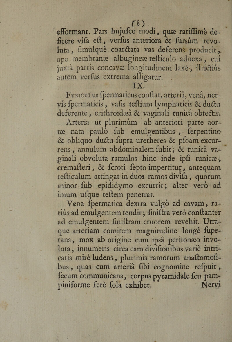 . /8> efformant. Pars hujufce modi, quae rariflime de¬ ficere vifa eft, verfus anteriora Sc fursum revo¬ luta , fimulque coartata vas deferens producit, ope membranae albugineae tefticulo adnexa, cui juxta partis concavae longitudinem lax&amp;-, ftriifiius autem verfus extrema alligatur. . IX. Funiculus Ipermaticus confiat, arteria, vena, ner¬ vis fpermaticis , vafis tertium lymphaticis &amp; ductu deferente , erithroidaea &amp; vaginali tunica obteclis. Arteria ut plurimum ab anteriori parte aor¬ ta» nata paulo fub emulgentibus , ferpentino &amp; obliquo ductu fupra uretheres St pfoam excur¬ rens, annulum abdominalem fubit; St tunica va¬ ginali obvoluta ramulos hinc inde ipfi tunicae , cremafteri, St fcroti fepto impertitur, antequam tefiiculum attingat in duos ramos divifa, quorum minor fub epididymo excurrit; alter vero ad imum ufque teftem penetrat. Vena fpermatica dextra vulgo ad cavam, ra¬ rius ad emulgentem tendit; finiftra vero conftanter ad emulgentem finifiram cruorem revehit. Utra¬ que arteriam comitem magnitudine longe fupe- rans, mox ab origine cum ipsa peritonaeo invo¬ luta , innumeris circa eam divifionibus varie intri¬ catis mire ludens, plurimis ramorum anaftomofi- bus, quas cum arteria fibi cognomine refpuit, fecum communicans, corpus pyramidale feu pam¬ piniforme fere fola exhibet. Neryi