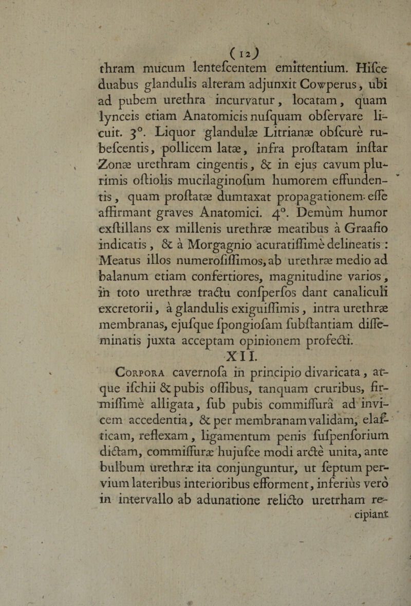 I oo thram mucum lentefcentem emittentium. Hifce duabus glandulis alteram adjunxit Cowperus, ubi ad pubem urethra incurvatur, locatam, quam lynceis etiam Anatomicis nufquam obfervare li¬ cuit. 50. Liquor glandulae Litrianae obfcure ru- befcentis, pollicem latae, infra proflatam inflar Zonae urethram cingentis, & in ejus cavum plu¬ rimis ofliolis mucilaginofum humorem effunden¬ tis , quam proflatae dumtaxat propagationem- eiTe affirmant graves Anatomici. 40. Demum humor exflillans ex millenis urethrae meatibus a Graafio indicatis , & a Morgagnio acuratiffime delineatis : Meatus illos numerofiffimos, ab urethrae medio ad balanum etiam confertiores, magnitudine varios , in toto urethrae tradu confperfos dant canaliculi excretorii, a glandulis exiguiffimis , intra urethrae membranas, ejufque fpongiofam fubflantiam difle- minatis juxta acceptam opinionem profedi. XII. j \ Corpora cavernofa in principio divaricata, at¬ que ifchii & pubis offibus, tanquam cruribus, fir- miffime alligata, fub pubis commiffura ad invi¬ cem accedentia, & per membranam validam, elaf- ticam, reflexam, ligamentum penis fufpenforium dictam, commiiiurx hujufce modi arcte unita, ante bulbum urethrae ita conjunguntur, ut feptum per¬ vium lateribus interioribus efforment, inferius vero in intervallo ab adunatione relido uretrham re- < cipiant ' . ; r 1 1