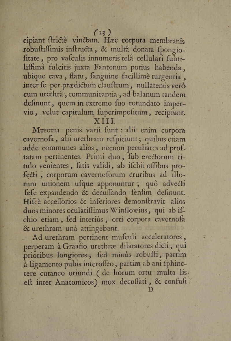 cipiant ftride vindam. Haec corpora membranis robuftiflimis inftruda, &amp; multa donata fpongio- fitate, pro vafculis innumeris tela cellulari fubti- liffima fulcitis juxta Fantonum potius habenda, ubique cava , flatu, fanguine facillime turgentia , inter fe per prxdidum clauftrum, nullatenus vero cum urethra, communicantia , ad balanum tandem defmunt, quem in extremo fuo rotundato imper¬ vio, velut capitulum fuperimpofitum, recipiunt. XIII. Musculi penis varii funt : alii enim corpora cavernofa, alii urethram refpiciunt; quibus etiam adde communes alios , necnon peculiares ad prof- tatam pertinentes. Primi duo, fub eredorum ti¬ tulo venientes , fatis validi, ab ifchii ollibus pro- fedi , corporum cavernoforum cruribus ad illo¬ rum unionem ufque apponuntur ; quo advecti fefe expandendo &amp; decuflando fenfim defmunt. Hifce accelTorios &amp; inferiores demonftravit alios duos minores oculatiffimus Winflowius, qui ab if- chio etiam, fed interius, orti corpora cavernofa &amp; urethram una attingebant. Ad urethram pertinent mufculi acceleratores , perperam a Graafio urethrae dilatatores didi, qui prioribus longiores, fed minus robufti, partim a ligamento pubis interofleo, partim ab ani Iphinc- tere cutaneo oriundi (de horum ortu multa lis - eft inter Anatomicos) mox decuffati, &amp;■ confufi D