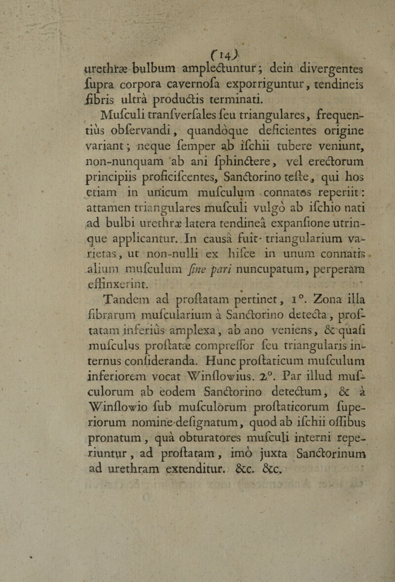 /*u ( urethra bulbum ampleduntur; dein divergentes fupra corpora cavernofa exporriguntur, tendineis jibris ultra produdis terminati. Mufculi tranfverfales feu triangulares, frequen¬ tius obfervandi, quandoque deficientes origine variant; neque femper ab ifchii tubere veniunt, non-nunquam ab ani fphindere, vel erectorum principiis proficifcentes, Sandorino tefice, qui hos etiam in unicum mufculum connatos reperiit: attamen triangulares mufculi vulgo ab ifchio nati ,ad bulbi urethras latera tendinea expanfione utrin- que applicantur. In causa fuit* triangularium va¬ rietas , ut non-nulli ex hifce in unum connatis alium mufculum [me pari nuncupatum, perperam effinxerint. * Tandem ad profiiatam pertinet , i°. Zona illa fibrarum mulcularium a Sandorino deteda, profi- tatam inferius amplexa, ab ano veniens, & quafi mufculys proilatte compreffor feu triangularis in¬ ternus confideranda. Hunc prollaticum mufculum inferiorem vocat Winflowius. Z°. Par illud muf- culorum ab eodem Sandorino detedum, & a Winflowio fub mufculorum proftaticorum fupe- riorum nomine-defignatum, quod ab ifchii offibus pronatum, qua obturatores mufculi interni repe- riuntur, ad proflatam, imo juxta Sandorinum ad urethram extenditur. &c. &c. . V. . * -