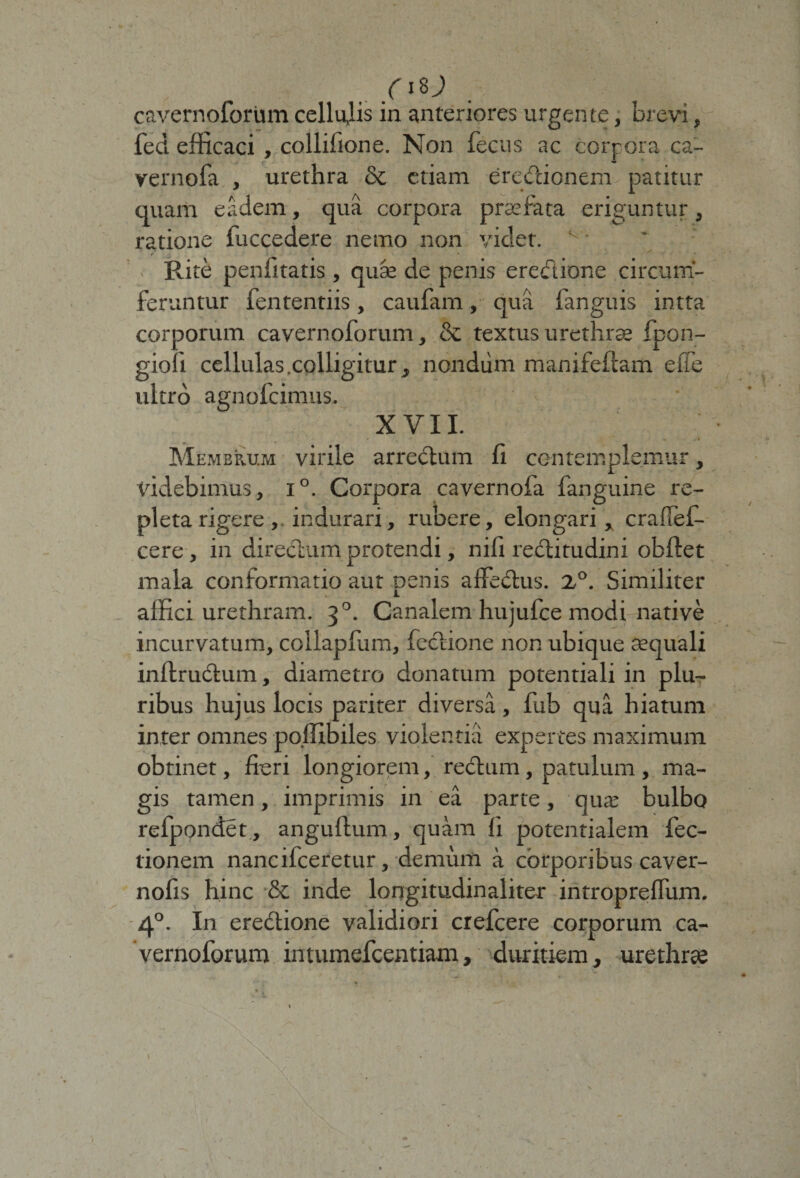 ( i%) cavernoforum cellulis in anteriores urgente, brevi, fed efficaci , collifione. Non fecus ac corpora ca- vernofa , urethra & etiam erctffioncm patitur quam eadem, qua corpora praefata eriguntur, ratione fuccedere nemo non videt. v • Rite penfitatis , quse de penis erectione circum¬ feruntur fententiis, caufam, qua fanguis intta corporum cavernoforum, & textus urethrae fpon- gioli cellulas.colligitur, nondum manifeftam e fle ultro agnofcimus. XVII. Membrum virile arrectum fi contemplemur, videbimus, i°. Corpora cavernofa fanguine re¬ pleta rigere , indurari, rubere, elongari, craflef- cere , in directum protendi, nifi rebtitudini obflet mala conformatio aut penis affed:us. 2°. Similiter affici urethram. 30. Canalem hujufce modi native incurvatum, collapfum, fcchone non ubique aequali inftrudtum, diametro donatum potentiali in plu¬ ribus hujus locis pariter diversa , fub qua hiatum inter omnes poffibiles violentia expertes maximum obtinet, fieri longiorem, rectum, patulum , ma¬ gis tamen, imprimis in ea parte, quae bulbo refpondet, anguflum, quam fi potentialem Tec¬ tionem nancifceretur, demum a corporibus caver- nofis hinc & inde longitudinaliter intropreflum. 40. In erectione validiori crefcere corporum ca¬ vernoforum intumefcentiam, duritiem, urethrae