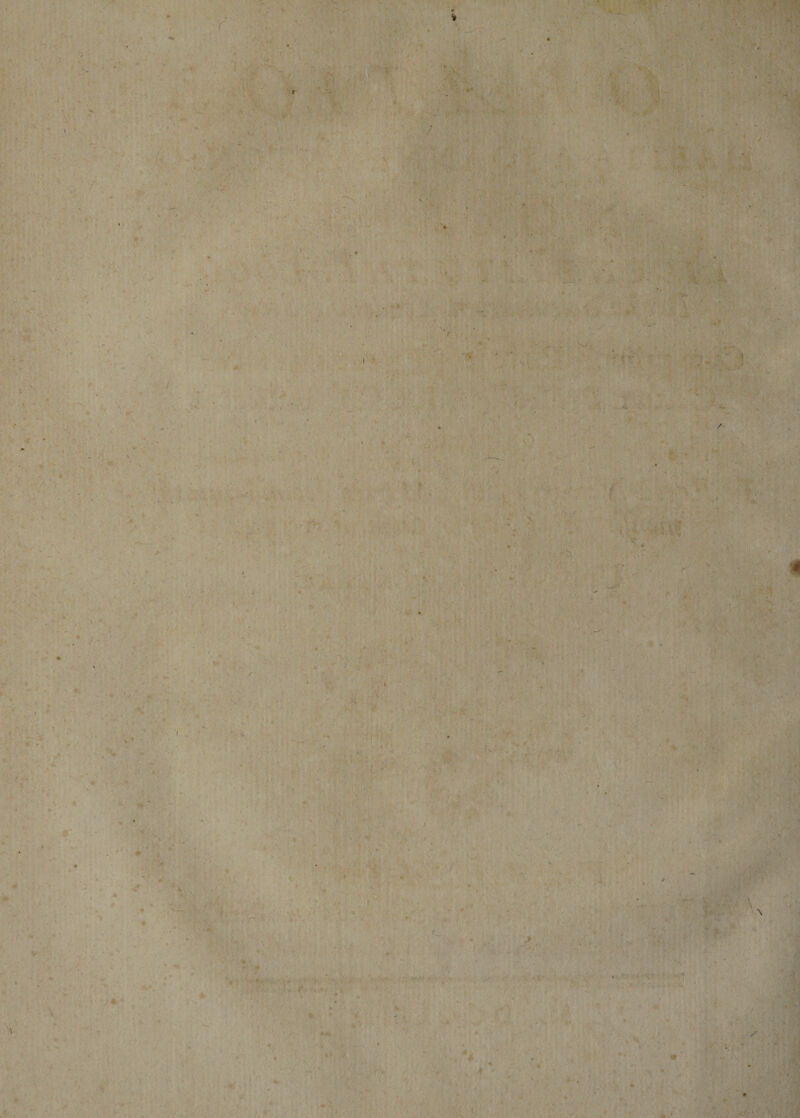 : . -fl ^ -r- . :y »•■ ■' ’ ,.^ y. I V • ';-^ - •; » » '•• .; •* ■■ ) . / ' - - &gt;'