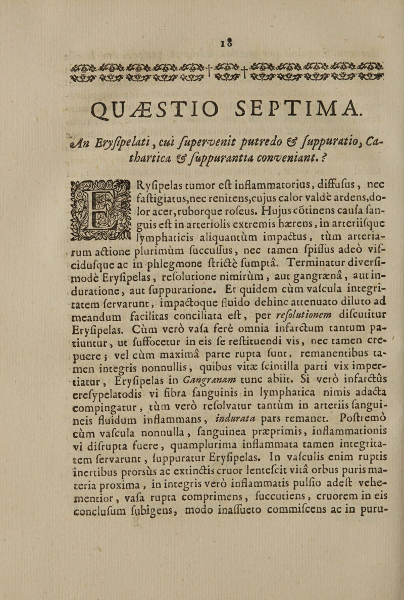 QUESTIO SEPTIMA. oAn Ery/ipelati, cui fapervenit putredo 6? fuppuratio^ Cct- thanica &amp; fuppurantia conveniant. ? Ryfipelas tumor eft inflammatorias, diffufus, nec faftigiatus,nec renicens,cujus calor valde ardens,do¬ lor acer,ruborque rofeus. Hujus cotinens caufa (an¬ guis eft in arteriolis extremis haerens, in arteriifque lymphaticis aliquantum impaduS, tum arteria¬ rum aftione plurimum fuccuffus, nec tamen fpiiTus adeo vif- cidufque ac in phlegmone ftride fumpta. Terminatur diverfi- mode Eryfipelas, refolucione nimirum, aut gangrena, autin- duratione, aut fuppuracione. Ec quidem cum vakula integri¬ tatem fervarunc, impadoque fluido dehinc attenuato diluto ad meandum facilitas conciliata eft, per refolutionem difcutitur Eryfipelas. Cum vero vafa fere omnia infarctum tantum pa¬ tiuntur, ut fuffocetur in eis fe reftituendi vis, nec tamen cre¬ puere 5 vel cum maxima parte rupta fune, remanentibus ta¬ men integris nonnullis, quibus vitae fcintilla parti vix imper¬ tiatur, Eryfipelas in Gangranam tunc abiit. Si vero infardus erefypelatodis vi fibra fanguinis in lymphatica nimis adada compingatur, tum vero refolvatur cantum in arteriis fangui- neis fluidum inflammans, indurata pars remanet. Poftremo cum vafcula nonnulla, fanguinea pr^primis, inflammationis vi difrupta fuere, quamplurima inflammata tamen integrita¬ tem fervarunc, (uppuratur Eryfipelas. In vafculis enim ruptis Inertibus prorsus ac extindis eruor lentefcit vita orbus puris ma¬ teria proxima , in integris vero inflammatis pulfio adeft vehe- mencior, vafa rupta comprimens, fuccutiens, cruorem in eis conclufum fabigens, modo inaflueto commifcens ac in puru-