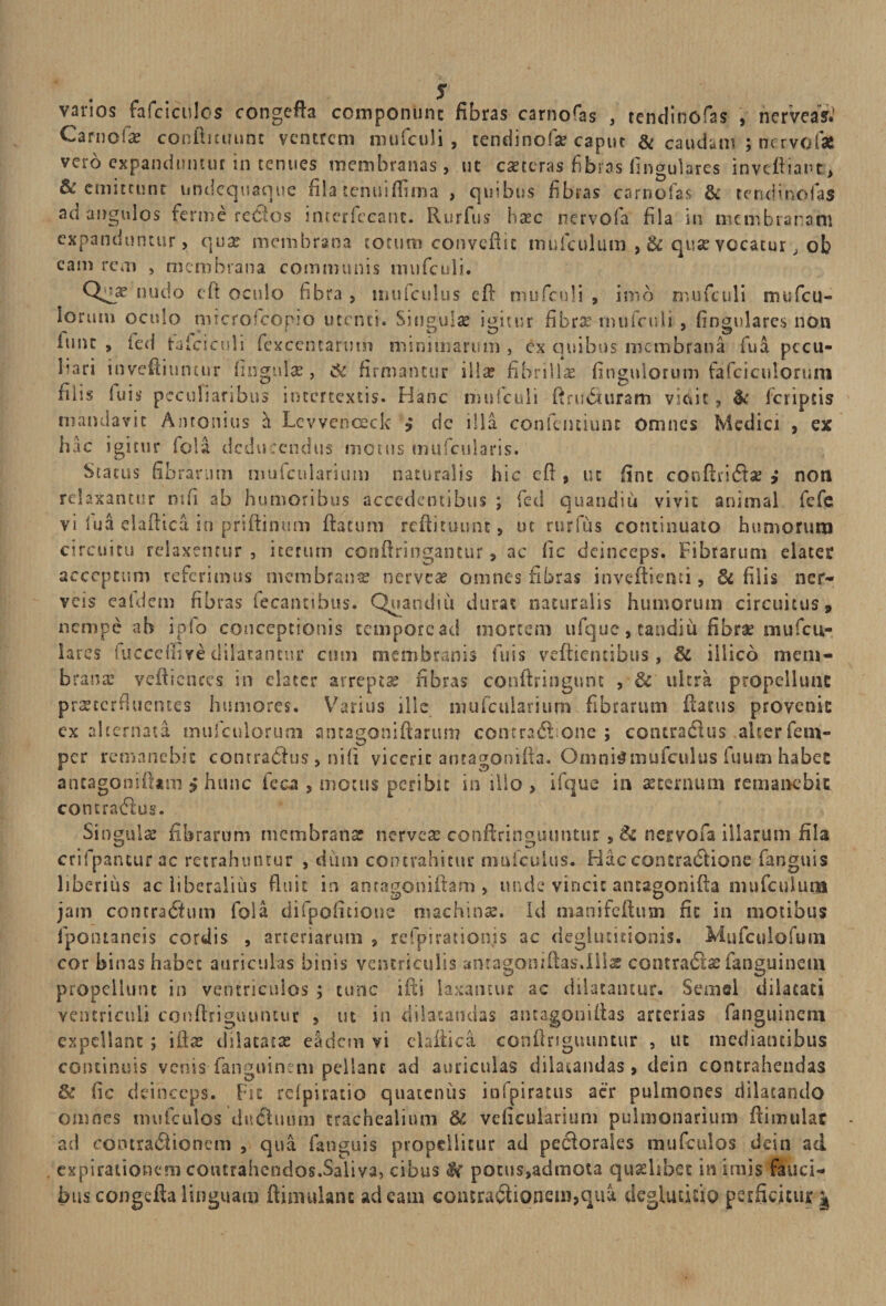 varios fafciculos congefta componunt fibras carnoras , rendinofas , nerveasf Carnoia? conftituunt ventrem mufculi, tendinofa? caput &amp; caudam ; nervofsfe vero expanduntur in tenues membranas, ut caeteras fibras lingulares invtftiant, &amp; emittunt undequaqtie fila tenuiiTima , quibus fibras carnofas &amp; tendinofas ad angulos ferine redos interfecanc. Rurfus ba?c nervofa fila in membranam expanduntur, qua? membrana totum conveftic mufculum , &amp; qua? vocatur, ob eam rem , membrana communis mufculi. Qua? nudo cft oculo fibra , uiulcuius cd: mufculi , imb mufculi mufeu- Iorum oculo microfcopio utenti. Singula igitur fibra? rnufculi , fingnlares non itmt , ied tafciculi fexcencarum minimarum , ex quibus membrana fua pecu¬ liari inveniuntur fingula?, ite firmantur illa? fibrilla fingulorum fafciculorum filis fu i s peculiaribus intertextis. Hanc nsufculi ftru&amp;uram vicii c, &amp;• fcriptis mandavit Antonius d Levvenceck i dc illa confentiunt Omnes Medici , ex hac igitur fola deducendus motus tnufcularis. Status fibrarum mufcnlarium naturalis hic eft, ut fint conftiida? j non relaxantur mfi ab humoribus accedentibus ; fed quandiu vivit animal fefe vi lua elaftica in priftinum ftacum reftituunt, ut rurfus continuato humorum circuitu relaxentur , iterum conii nugantur, ac fi c deinceps. Fibrarum elater acceptum referimus membrana? nervea? omnes fibras inveftienti, 3c filis ner- veis eaidem fibras fecantibus. Quandiu durat naturalis humorum circuitus» nempe ab i pio conceptionis temporcad mortem ufque , tandiu fibrae inufcu- lares luccedive dilatantur cum membranis fuis veftientibus, &amp; iilico mem¬ brana! veftiences in elater arrepta? fibras conftringunt , &amp;' ultra propellunt pra?tcrfiuemes humores. Varius ille mufcnlarium fibrarum ftacus provenit: ex alternata mufculorum antagoniftarum conrraftlone ; contradas alter fem- per remanebit contradus, nifi vicerit antagonrfta. Omntfmufculus fuum habec aneagoniftam i hunc feca , motus peribit in illo, ifque in se ternum remanebit contradas. Singula? fibrarum membranae nervea? conftringuuntur , &amp; nervofa illarum fila crifpancurac retrahuntur , dum contrahitur mufeuius. Haccontradione fanguis liberius ac liberalius fluit in antagoniftam, unde vincit atuagonifta niufculutii jam contra dum fola difpofitione machinae. Id manifcftusn fic in motibus fpontaneis cordis , arteriarum , refpirationjs ac deglutitionis. Mufculofum cor binas habet auriculas binis ventriculis anragoniftas.iliae contradas fanguinem propellunt in ventriculos ; tunc ifti laxantur ac dilatantur. Semel dilatati ventriculi conftriguuntur , ut in dilatandas antagoniftas arterias fanguinem expellant; illa? dilatata? eadem vi elaftica conftriguuntur , ut mediantibus continuis venis fanguinem pellant ad auriculas dilatandas, dein contrahendas &amp; fic deinceps. Fit refpiratio quatenus infpiratus aer pulmones dilatando omnes nuifculos dnduum trachealium &amp; veficularium pulmonarium ftimulac ad contradionem , qua fanguis propellitur ad pedorales mufculos dein ad . expirationeni coutraheodos.Saliva, cibus pocus,admota quselibet in imis fauci¬ bus congeftalinguam ftimulanc adeam contradionem,qua deglutitio perficitur ^
