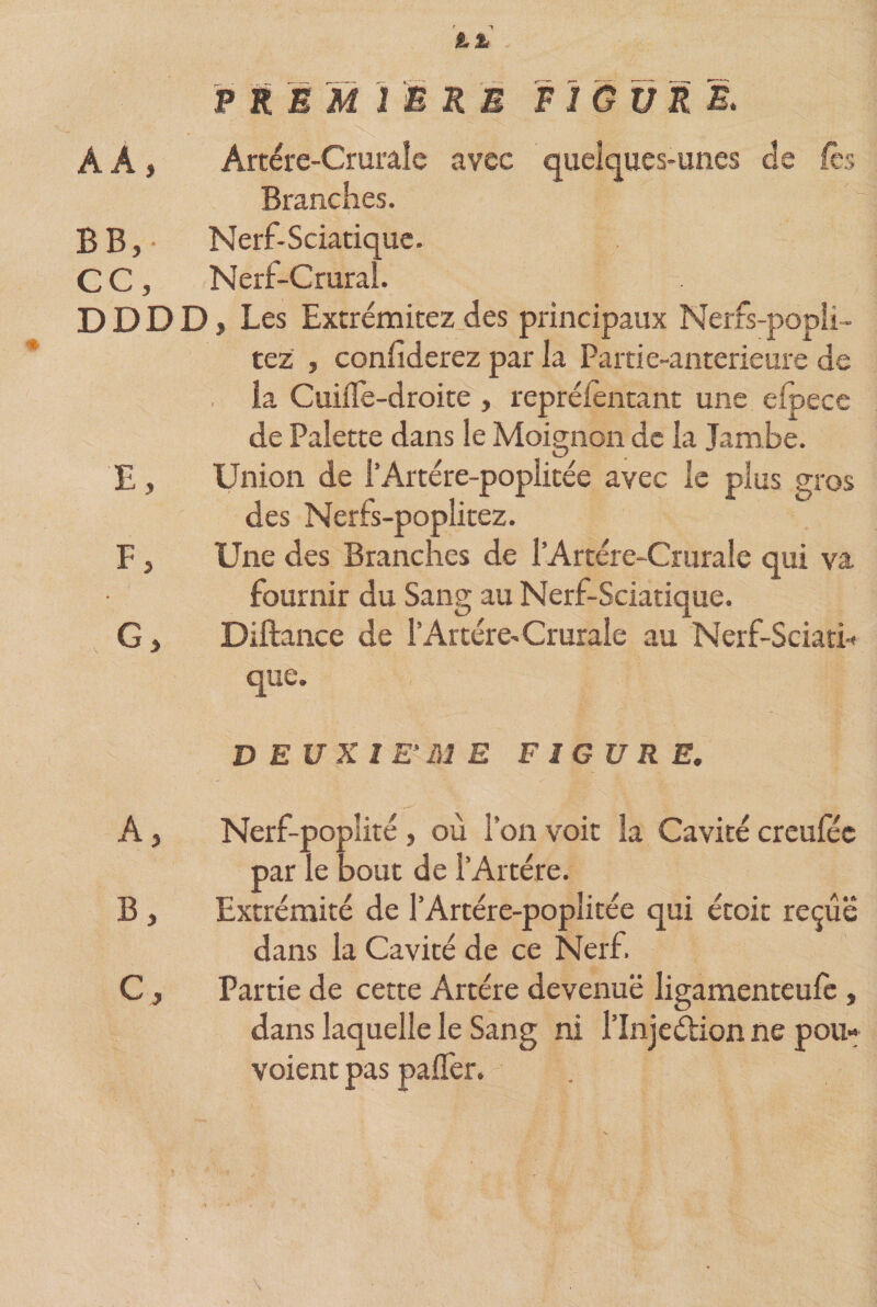 PREMIÈRE FIGURE. À À , Artère-Crurale avec quelques-unes de fcs Branches. B B, • Nerf-Sciatique. C C, Nerf-Crurai. DDDD, Les Extrémitezdes principaux Nerfs-popii- tez , confiderez par la Partie-anterieure de la Cuifle-droite , repréientant une efpece de Palette dans le Moignon de la Jam be. E, Union de l’Artére-poplitée avec le plus gros des Neris-poplitez. F, Une des Branches de l’Artère- Crurale qui va fournir du Sang au Nerf-Sciatique. G &gt; Diftance de l'Artère-Crurale au Nerf-Sciati* que. D EU K 1 E' M E FIGURE. A, Nerf-poplité, où l’on voit la Cavité creufee par le bout de T Artère. B, Extrémité de l’Artére-popîitée qui étoit reçue dans la Cavité de ce Nerf. C, Partie de cette Artère devenue ligamenteufè, dans laquelle le Sang ni l’Injeétion ne pou- voient pas palfer.