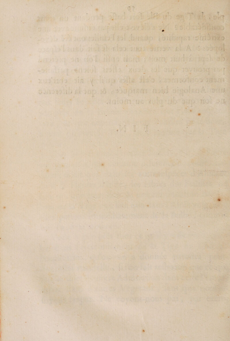 0 t y m i * K « \ \ )h x r i : . • ’ *