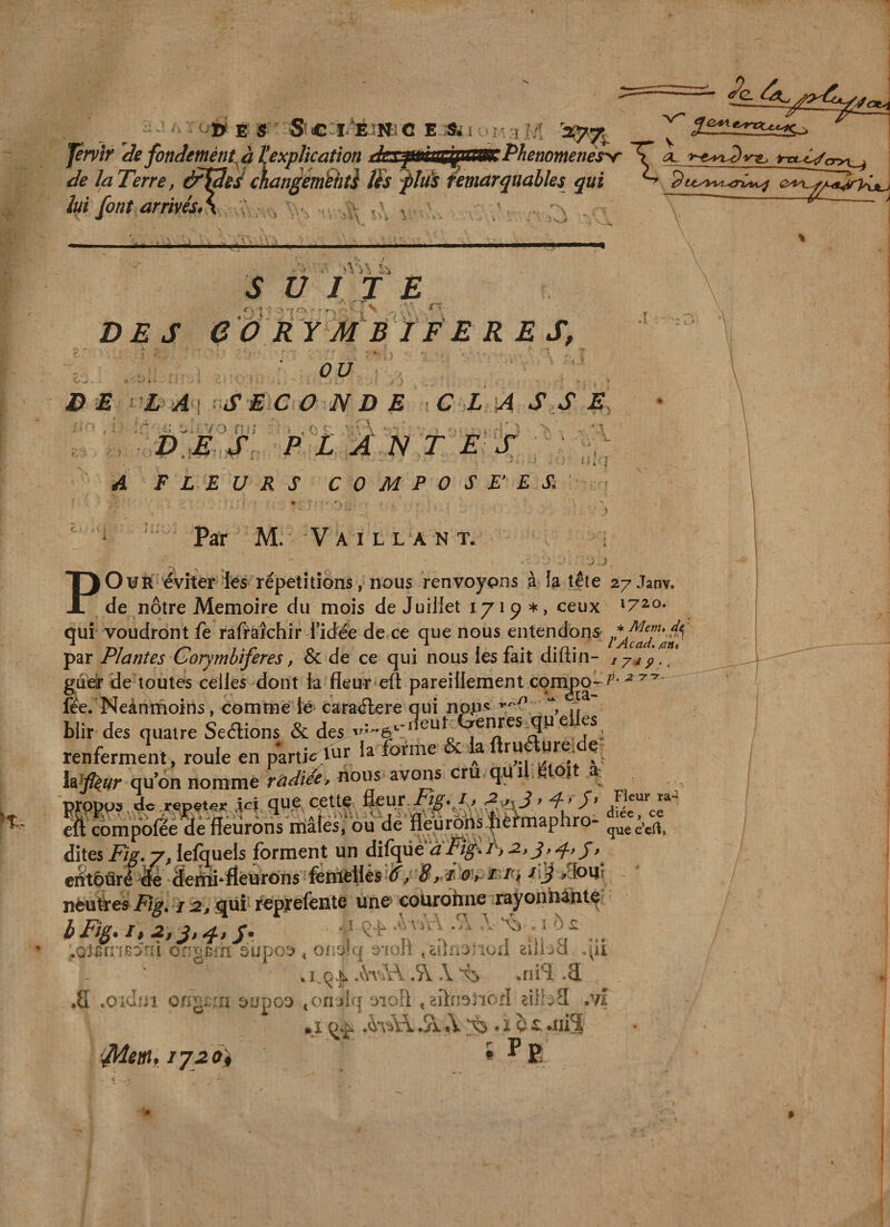 •» K s ' 'SiC:i.'Èî!«!C E Æï i ;.r,:7 ;.'T ^ prvi)' defondemént^à^explication ■ * ' ' T IraU^cryy ^ de la Terre, à^eJ Aangèm^ti ffs fîUs Remarquables qui lui font arrivés^ ,v ^ '\x ^ ! '■ .V s U IJ B c, ♦ *• &gt; : 1 DES e O RYM B ÏF E R E S, : : , • , ' D E X A-i SECOND E - C L 'A S S E, \ d^e's. A n tes t ■ A FLEURS COMPOSTES Par M. V A I L L A N T. .e POi^TR éviter ks répétitions, nous renvoyons à fa tête 27Janv. de nôtre Mémoire du mois de Juillet 1719*, ceux *7^0- qui voudront fe rafraîchirTidée de ce que nous entendons^ par Plantes Corymhiferes, &amp; de ce qui nous les fait diftin- lyip^.! tjueir de toutes celles dont ta fleur eft pareillement compo-^* ^ fée. Neànmoins, comme lé caraélere qui nop^^ f, blir des quatre Sedions &amp; des“7^ renferment, rouie en p^rti.lur ia forme &amp; laftruaure.de- hJfi^ur qu’on nomme radiée, nous avons cru qu J oi * ei dites Xÿ.7, lefquels forment un difrjiielâXr^-./S-s,^,-^,/, e^êûré «te âertn-iîéurons Êifftlléjs ir/ ÿ^ïidv rvq rij? .Ooqî nèuft'es/ 2, qui' ^prefente un© coürohne i^onnànt^ bFig.i,.2,j,4.S. ^ i-p * xi \ i L &gt; • • ^ i ■;) s: ^ .O - . ' ✓ ^ * J, I T\ -V î i i i y ’ ^aî^rnBO'u ongn-n supo^ &lt; oîit)U| a tuli v^il Eiiija ,pi .S\. \ ht •riiS^ .3l ,8 .c dm oXigi 'n oupoo «on^lq moîl ^sîln^ncrî cihv3 .vî ,1 .5i . 1 èi £ .ui3 'laetn, ij20i • §