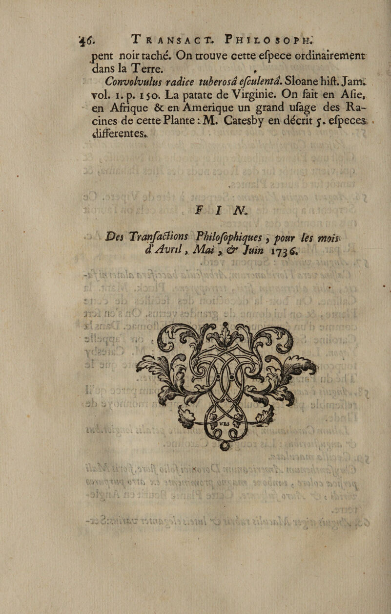 4$« T r a n s a c t. Philo sop h&gt; pent noir taché. On trouve cette efpece ordinairement dans la T erre. « Convolvulus radice tuberosâ efculentâ. Sloane hift. Jaml vol. i. p. 150. La patate de Virginie. On fait en A fie, en Afrique ôc en Amérique un grand ufage des Ra¬ cines de cette Plante lM. Catesby en décrit y*efpece&amp; differentes.. F I N. Des Tranfaâions Philofophiques y pour les mm d'Avril y Mai x &amp; Juin 173&amp;