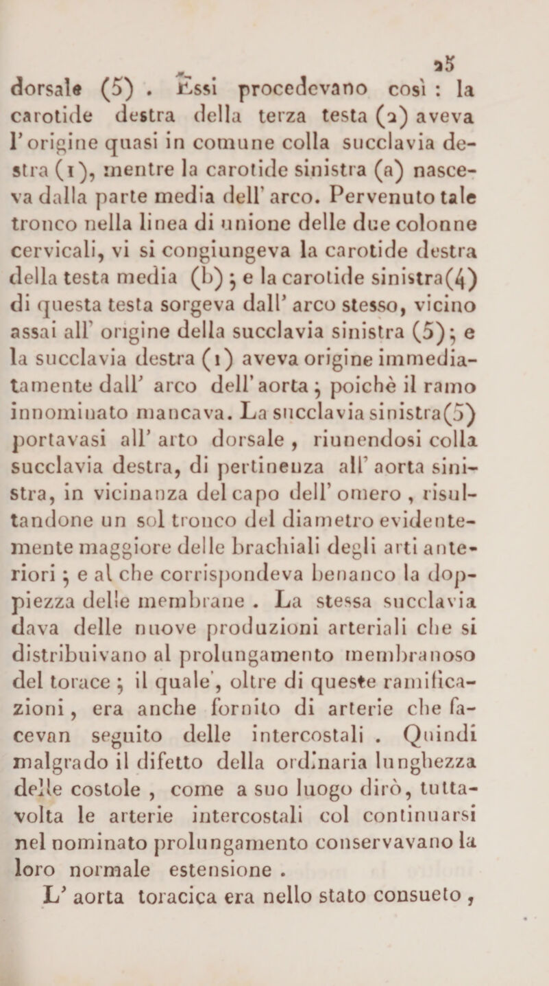 dorsale (5) . i^ssl procedevano cosi : la carotide destra della terza testa (a) aveva rorigine quasi in comune colla succlavia de¬ stra (i), mentre la carotide sinistra (a) nasce¬ va dalla parte media dell’ arco. Pervenuto tale tronco nella linea di unione delle due colonne cervicali, vi si congiungeva la carotide destra della testa media (L) ^ e la carotide sinistra(4) di questa testa sorgeva dalT arco stesso, vicino assai all’ origine della succlavia sinistra (5)^ e la succlavia destra (i) aveva origine immedia¬ tamente dair arco dell’aorta ^ poiché il ramo innominato mancava. La succlavia sinistra(5) portavasi all’ arto dorsale , riunendosi colla succlavia destra, di pertinenza all’aorta sini¬ stra, in vicinanza del capo dell’omero , risul¬ tandone un sol tronco del diametro evidente¬ mente maggiore delle brachiali degli arti ante¬ riori ^ e al che corrispondeva benanco la dop¬ piezza delle membrane . La stessa succlavia dava delle nuove produzioni arteriali che si distribuivano al prolungamento membranoso del torace ^ il quale’, oltre di queste ramifica¬ zioni , era anche fornito di arterie die fa- cevnn seguito delle intercostali . Quindi malgrado il difetto della ordinaria lunghezza del le costole , come a suo luogo dirò, tu ita- volta le arterie intercostali col continuarsi nel nominato prolungamento conservavano la loro normale estensione . L’ aorta toracica era nello stato consueto ,