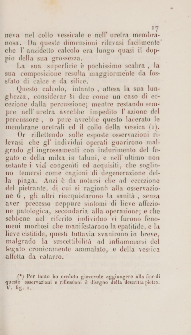 &gt;7 ncva nel colio vcssicale o nell’ uretra membra¬ nosa. Da queste dimensioni rilevasi facilmente* clic T anzidetto calcolo era lungo quasi il dop¬ pio della sua grossezza. La sua superficie è pochissimo scabra , la sua composi/ione resulta maggiormente da fos- sfalo di calce e da silice. Questo calcolo, intanto , attesa la sua lun¬ ghezza, considerar fci dee come un caso di ec¬ cezione dalla percussione; mentre restando sem¬ pre nell uretra avrebbe impedito Y azione del percussore , o pure avrebbe questo lacerato le membrane uretrali ed il collo della vcssica (1). Or riflettendo sulle esposte osservazioni ri¬ levasi che gl’ individui operali guarirono mal¬ grado gl ingrossamenti con indurimento del fe¬ gato e della milza in taluni, e nell’ultimo non ostante i vizi congeniti ed acquisiti, che soglio¬ no temersi come cagioni di degenerazione del- la piaga. Anzi è da notarsi clic ad eccezione del pietrante, di cui si ragionò alla osservazio¬ ne (i , gli altri riacquistarono la sanità , senza aver precesso neppure sintomi di lieve affezio¬ ne patologica, secondaria alla operazione; e che sebbene nel ritento individuo vi furono feno¬ meni morbosi che manifestarono la opali liete, e la lieve cistitidc, questi tuttavia svanirono in breve, malgrado la suscettibilità ad infiammarsi del fegato cronicamente ammalalo, c della vcssica affetta da catarro. (*) Per lanlo ho credulo giovevole aggiungere alla fine di •queste osservazioni e riflessioni i! disegno della descritta pietra.