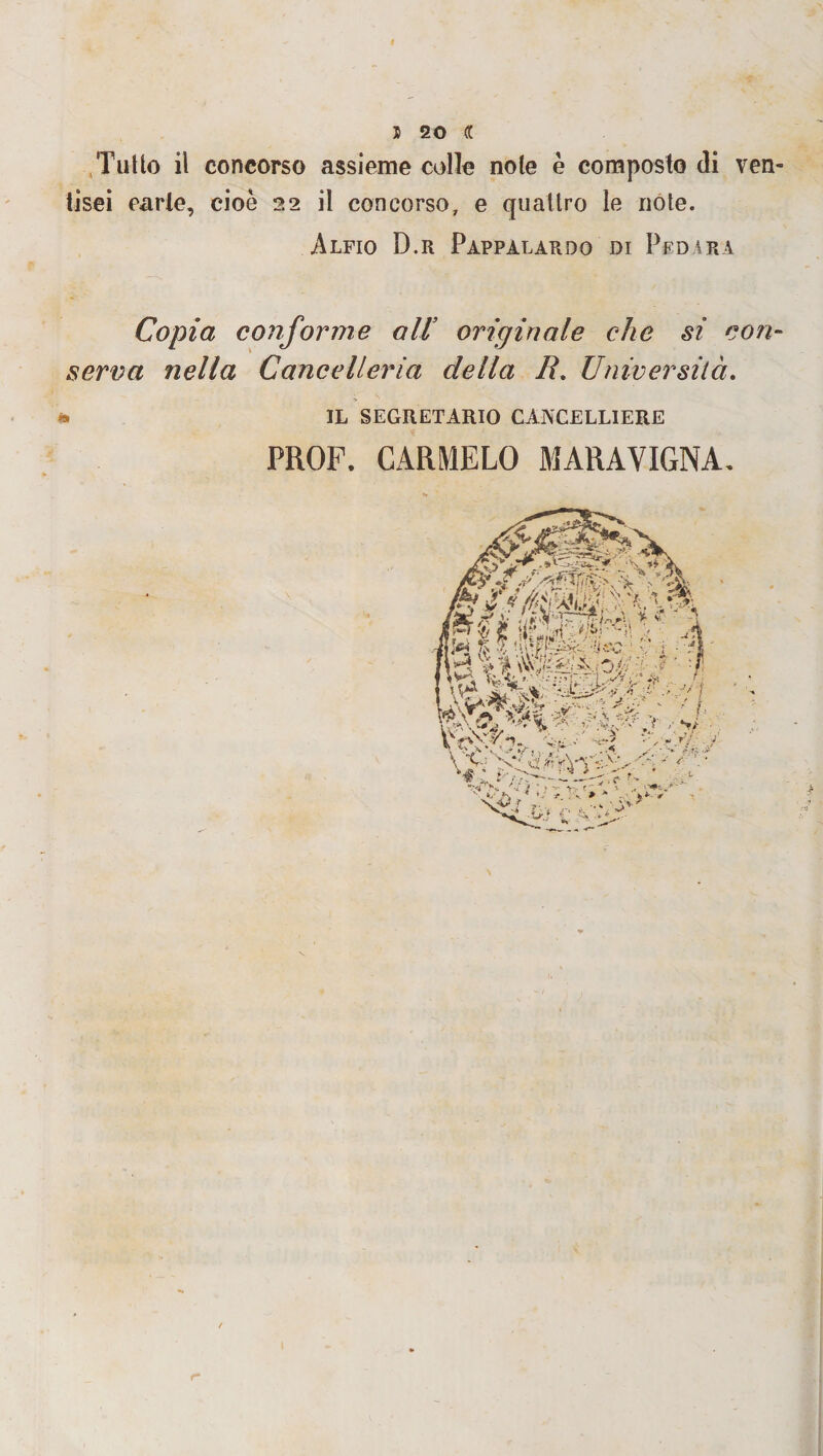 Tutto il concorso assieme colle noie è composto di ven- tisei carie, cioè 22 il concorso, e quattro le note. Alfio D.r Pappalardo di Pfdara Copia conforme all originale che si con¬ serva nella Cancelleria della R. Università. IL SEGRETARIO CANCELLIERE PROF. CARMELO MARAVIGNA. r