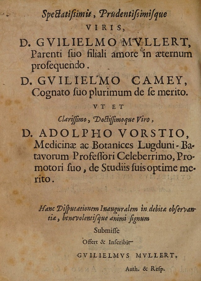digitised image 2