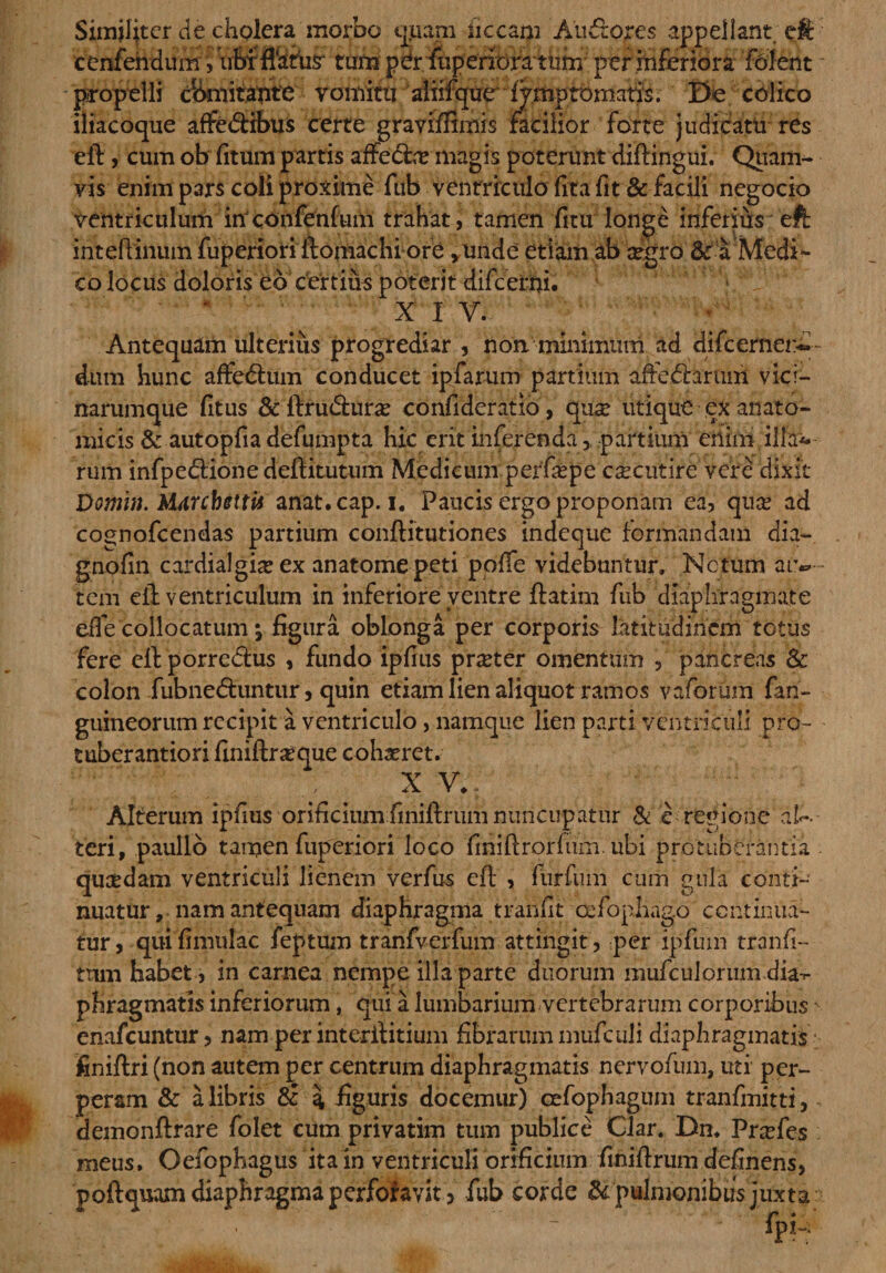 Similiter de cholera morbo miam liceam Audi ores appellant eft cenfehdum, ufirrfl&amp;tiisr tum p(?rfiiperioratum per inferiora folent propelli comitante vomitu aliifqucr iVmp tornatis. De colico iliacoque affe&amp;ibus certe graviffimis facilior forte judicatu- res eft, cum ob fitum partis aifebfte magis poterunt diftingui. Quam¬ vis enim pars coli proxime fub ventriculo fita fit &amp; facili negocio ventriculum inconfenfum trahat, tamen fitu longe inferius eft inteftinum fuperiori ftomachi ore »unde etiam ab aegro &amp; a Medi¬ co locus doloris eb certius poterit difeerni. ' X I V. Antequam ulterius progrediar , non minimum ad difeernerd- dum hunc affiebtum conducet ipfarum partium affcfermii vici¬ narumque fitus &amp; ftru&amp;uroe confideratio, quae utique ex anato¬ micis &amp; autopfiadefumpta hic erit inferenda, partium emm illav rum infpedlione deftitutum Medicum perfaspe caecutire vere dixit Domin. MdrcbettU anat.cap. i. Paucis ergo proponam ea, quje ad cognofcendas partium conftitutiones indeque formandam dia- gnofin cardialgia? ex anatome peti ppfife videbuntur. Netum atv tem eft ventriculum in inferiore ventre ftatim fub diaphragmate elle collocatum \ figura oblonga per corporis latitudinem totus fere eft porreftus , fundo ipfius pr^ter omentum , pancreas &amp; colon fubne&amp;untur, quin etiam lien aliquot ramos vaforum fan- gumeorum recipit a ventriculo, namque lien parti ventriculi pro- tuberantiori finiftr^que cohaeret. X V. Alterum ipfius orificium finiftrum nuncupatur &amp; e regione a la¬ teri, paullo tamen fuperiori loco finiftrorfum. ubi protuberantia quaedam ventriculi lienem verfus eft , furfum cum gula conti¬ nuatur , nam antequam diaphragma tranfit cefophago continua¬ tur, quifimulac feptum tranfverfum attingit, per ipfum tranfi- trun habet, in carnea nempe illa parte duorum mufculorum dia-r phragmatis inferiorum, qui a lumbarium vertebrarum corporibus enafeuntur, nam per interftitium fibrarum mufculi diaphragmatis finiftri (non autem per centrum diaphragmatis nervofum, uti per¬ peram &amp; a libris &amp; \ figuris docemur) cefophagum tranfinitti, demonftrare folet cum privatim tiim publice Clar. Dn. Proefes meus, Oefophagus ita in ventriculi orificium finiftrum definens, poftquam diaphragma perfofavit ? fub corde &amp;'pulmonibus juxta: