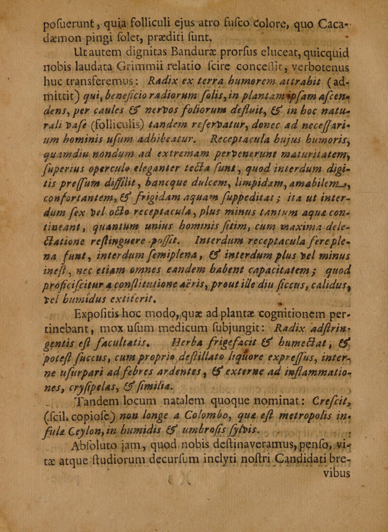 pofuerunt, quia folliculi ejus atro fufco Colore, quo Caca- daemon pingi folet, praedici funt. Ut autem dignitas Bandurae prorfus eluceat, quicquid nobis laudata Grimmii relatio fcire conceffit, verbotenus huc transferemus: Radix ex terra humorem attrahit (ad¬ mittit) qui, beneficio radiorum fotis,in plantamipfamafcen- dens, per cautes (f nerVos foliorum defluit, in boc natu- rati Vafe (folliculis) tandem referiatur, donec ad necefjari• um hominis ufum adhibeatur. Receptacula hujus humoris7 cjuamdm nondum ad extremam pervenerunt maturitatem, fuperms operculo eleganter te dia funt, quod interdum digi¬ tis preffum diffilit, hancque dulcem, limpidam, amabilem^, confortantem* &amp;* frigidam aquam fuppeditas ; ita ut inter¬ dum fex Vel odio receptacula, plus minus tantum aqua con¬ tineant , quantum unius hominis fliim, cum maxima dele- Satione refingmre 'pojflt. Interdum receptacula flere ple¬ na funt, interdum femiplena, interdum plus Vel minus ineft 5 nec etiam omnes eandem habent capacitatem / quod proficifcitur a confli initant aeris, prout ille diu ficcus, catidusf Vel humidus exti terit. *- • 4. .-‘Sji Expofitis hoc modo, quae ad plantae cognitionem per¬ tinebant, mox ufum medicum fubjungit: Radix adfirint. facultatis♦ frigefacit hnme&amp;at, &amp; potefl fuccus, cum proprio deflilUto Itquore expreffus, ufurpari ad febres ardentes, externe ad inflammatio¬ nes , cryfpelas, fimilia, Tandem locum natalem quoque nominat: Crefcit, (fcil. copiofe) ^0» longe a Colombo, qua efl metropolis in* fluU Ceylon, /»• humidis umbrofis fylvis. . ; Abfoluto jam, quod nobis deftinaveramus, pqnfo, vi¬ ta: atque (ludiorum decurfum inclyti noftri Candidati bre¬ vibus