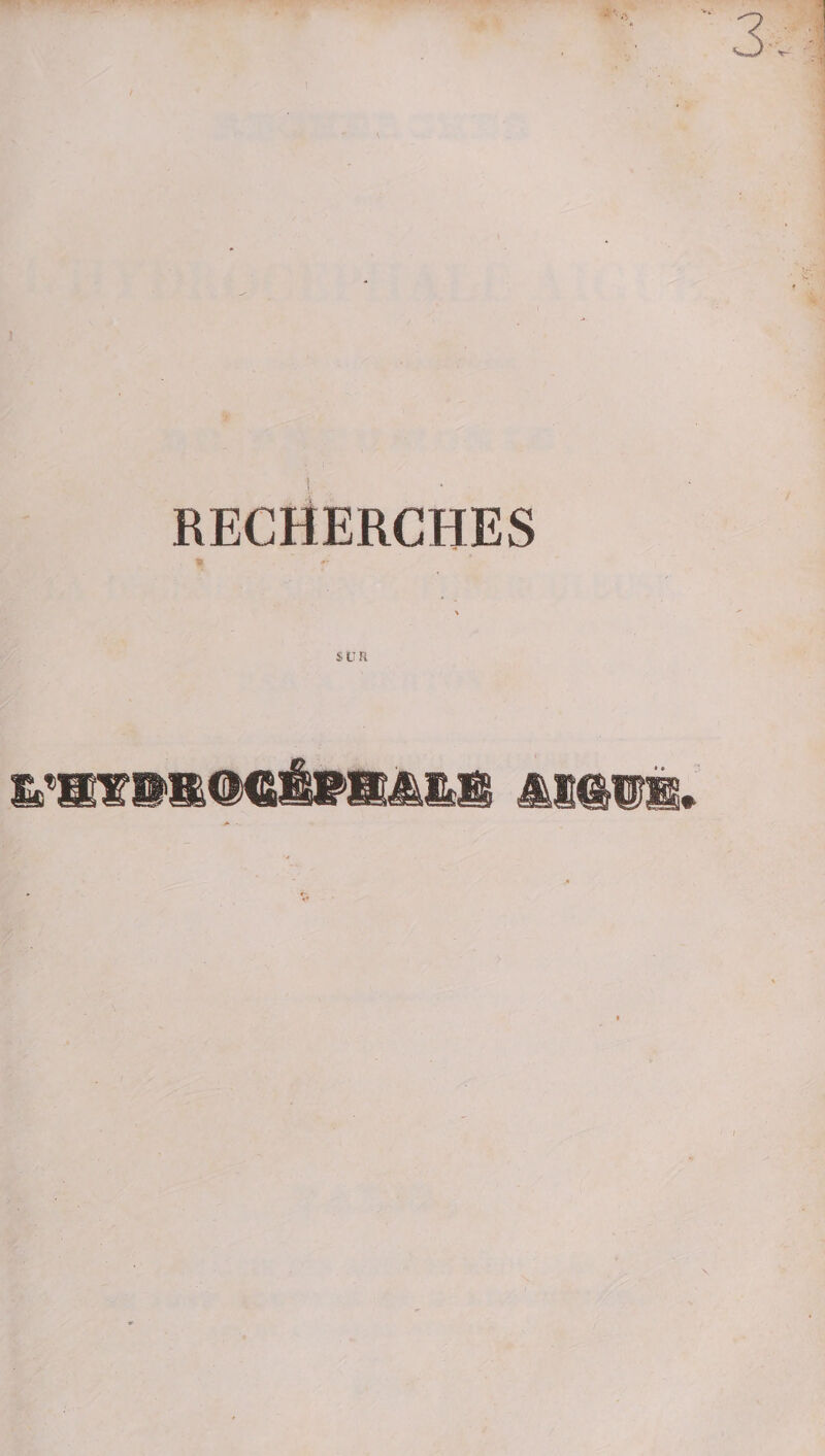 SUR iiiiiëfi&amp;il àmm