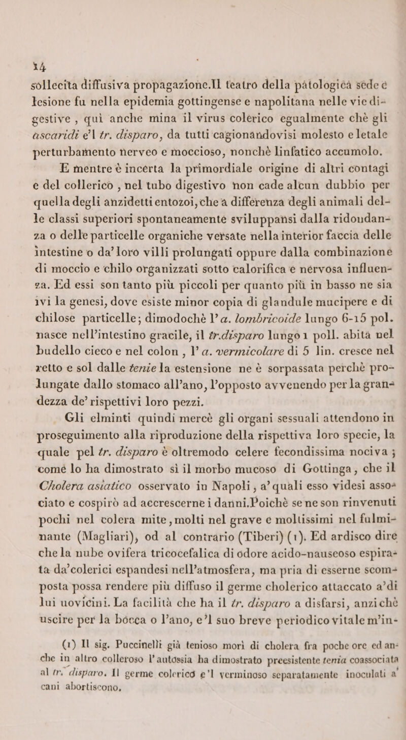 sróllcciXa difTusiva propagazionc.il teatro della patologica scdcC lesione fu nella epidemia gottingensee napolitana nelle vie di¬ gestive , qui anche mina il virus colerico egualmente che gli ascaridi e’I tr. disparo, da tutti cagionandovisi molesto e letale perturbamento nerveo e moccioso, nonché linfatico accumolo. E mentre è incerta la primordiale origine di altri contagi e del collerico , nel tubo digestivo non cade alcun dubbio per quella degli anzidettientozoi,che a differenza degli animali del¬ le classi superiori spontaneamente sviluppansi dalla ridondan¬ za o delle particelle organiche versate nella interior faccia delle intestine o da’loro villi prolungati oppure dalla combinazione di moccio e chilo organizzati sotto calorifica e nervosa influen¬ za. Ed essi son tanto piu piccoli per quanto più. in basso ne sia ivi la genesi, dove esiste minor copia di glandule mucipere e di cliilose particelle; dimodoché Va. lombricoide lungo 6-i 5 poi. nasce nell’intestino gracile, il tr.disparo lungo i poli, abita nel budello cieco e nel colon , l’a. 'vermicolare di 5 lin. cresce nel retto e sol dalle tenieìz. estensione ne è sorpassata perché pro¬ lungate dallo stomaco all’ano, l’opposto avvenendo perla gran*^ dezza de’ rispettivi loro pezzi. Gli elminti quindi mercé gli organi sessuali attendono in proseguimento alla riproduzione della rispettiva loro specie, la quale pel tr. disparo é oltremodo celere fecondissima nociva ; come lo ha dimostrato si il morbo mucoso di Gottinga, che il Cholera asiatico osservato in Napoli, a’quali esso videsi asso-» ciato e cospirò ad accrescerne i danni.l'oiché se ne son rinvenuti pochi nel colera mite,molti nel grave e mollissimi nel fulmi¬ nante (Magliari)^ od al contrario (Tibcri) (i). Ed ardisco dire chela nube uvifera tricocefalica di odore acido-nauseoso espira¬ ta da’colerici espandesi nell’atmosfera, ma pria di esserne scom¬ posta possa rendere più diffuso il germe cholcrico attaccato a’di lui uoviciiii. La facilità che ha il tr. disparo a disfarsi, anziché uscire per la bócca o l’ano, e’I suo breve periodico vitale m’in- (i) Il sig. Puccinclìi già tenioso morì di cholera h a poche ore ed an¬ che in altro colleroso l’autossia ha dimostrato preesistente tenia coassociata al Ir. (ìisparo, 11 germe colerico (e’i verminoso separatamente inoculali a* cani abortiscono.