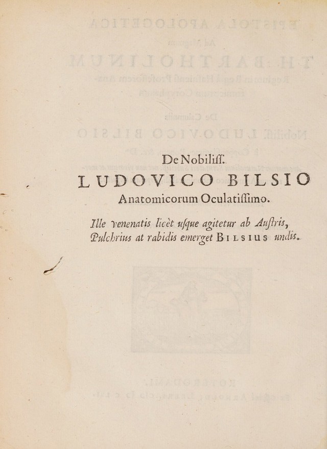 digitised image 2
