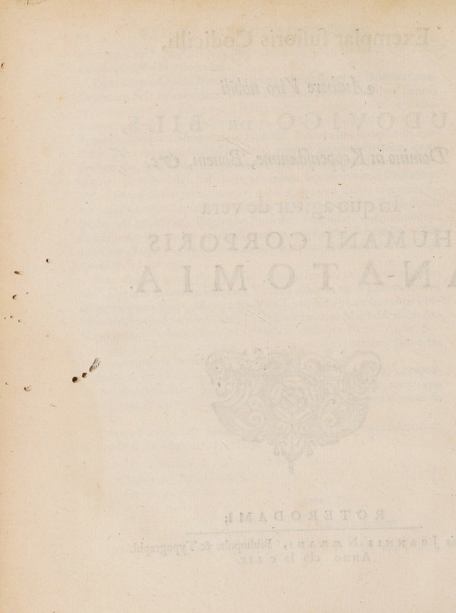 digitised image 2