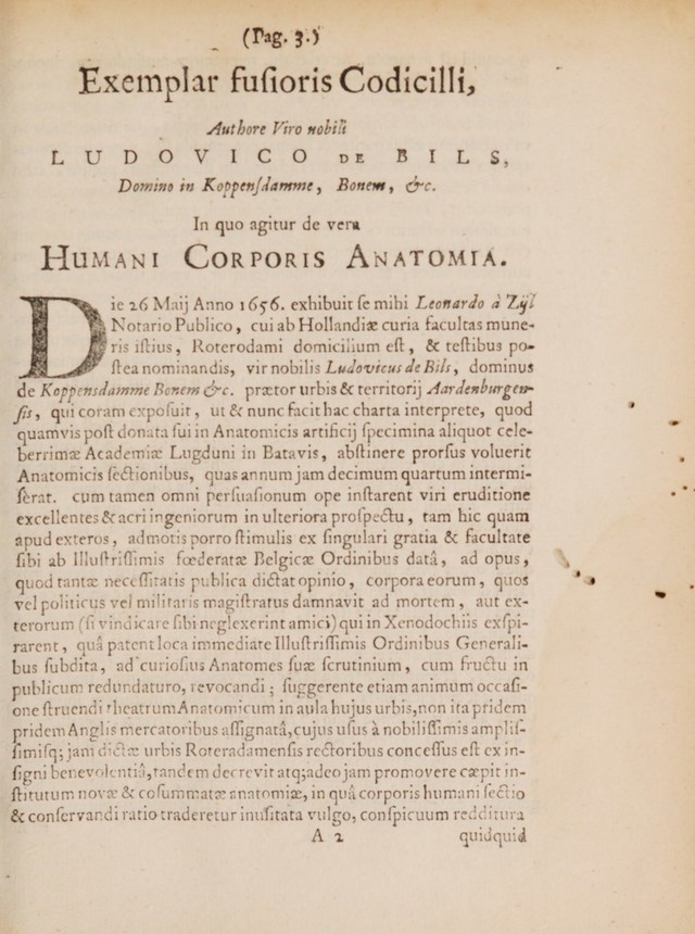 digitised image 3