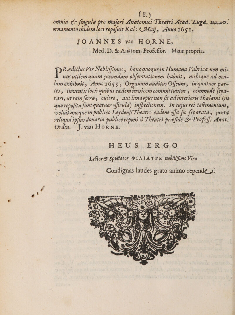 (e.) omnia & fingula pro majori Anatomici Theatri Acad. Luga. toatav. ornamento ibidem loci rego fuit Kal: \Jiiaij, Anno i6f i. JO ANNES van H 0,R N E, Med.D. & Anatom. Profeffor. Matuipropria# TJ Ridiclus Vir Nobhffimus, hanc quoque in Humana Fabrica non mi- .1 nus utilem quam jucundam obfervationem habuit, mihique ad ocu~ Ium exhibuit, Anno 16q q, Organum auditus Ojfeum, z>/ quatuor par¬ tes 9 inventis locis quibus eosdem invicem committuntur, commode fepa- rari, ut tam ferra , cultro, pjtw »0» fit ad interioris thalami [in quo rcpofita funt quatuor oficula) injjettionem. In cujus rei te [limonium , voluit auoque in publico Lcydenfi Theatro eadem offa fic fepar at a, juxta reliqua ipfus donaria publice reponi d 7h e atri gr ce fide & Frofejf, Anat. Qrdin. J. van Horne. HEUS ERGO „ Le8oy&Spe&a*or ^IAIAtfe nobili(JimoVir& Condignas laudes grato animo rependet