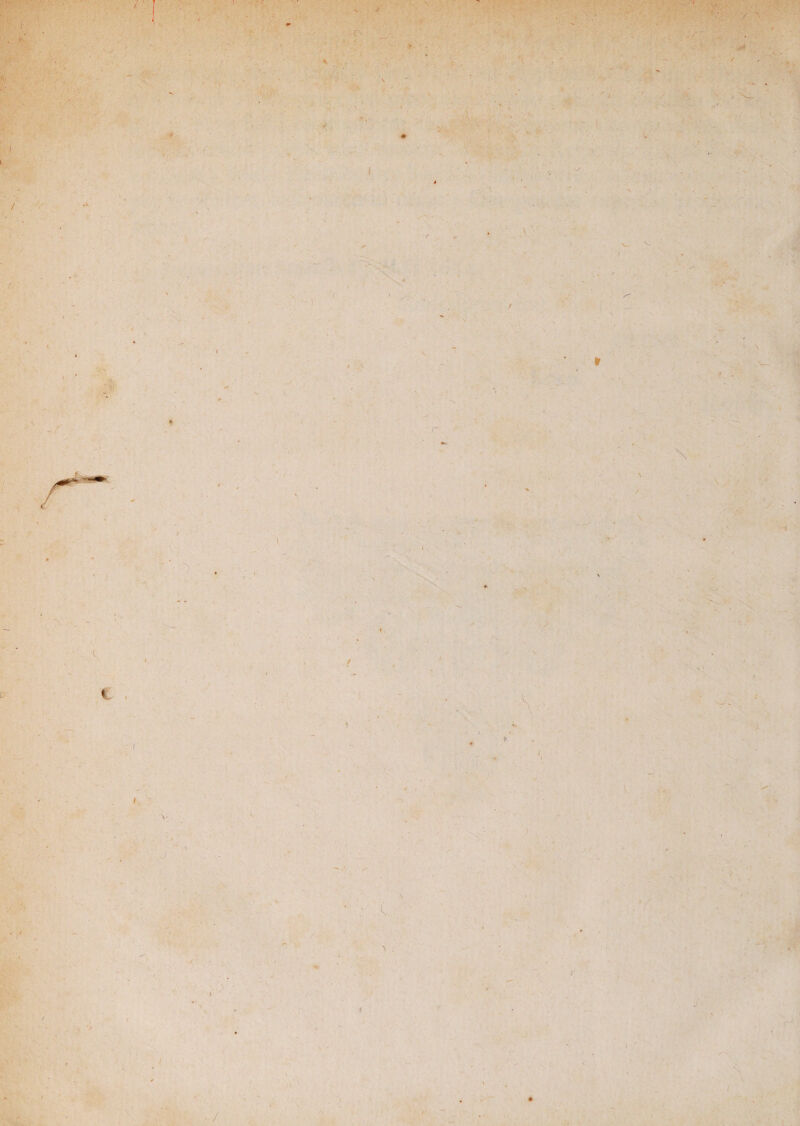 I ; 'T' ’ )' <•; . i ) \ j i O > ♦ : i * - \ / 'i D>' y. *C e / > , • i ' j .