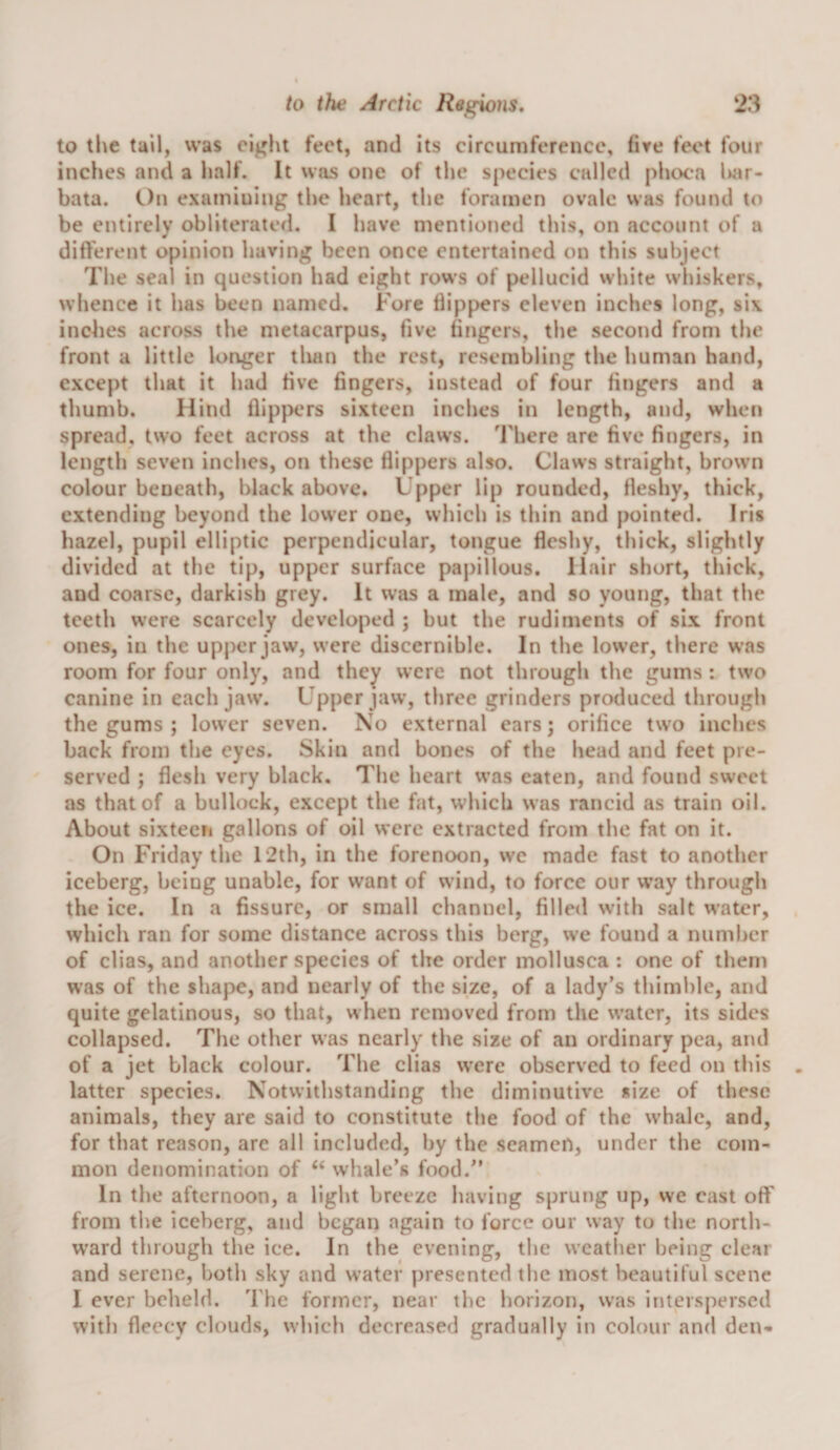 to the tail, was el^ht feet, and its circumference, fire feet four inches and a half. It was one of the species called phoca l&gt;ar- bata. On examining the heart, the foramen ovale was found to be entirely obliterated. I have mentioned this, on account of a different opinion having been once entertained on this subject The seal in question had eight rows of pellucid white whiskers, whence it has been named. Fore flippers eleven inches long, six indies across the metacarpus, five fitigers, the second from the front a little longer than the rest, resembling the human hand, except that it had five fingers, instead of four fingers and a thumb. Hind flippers sixteen inches in length, and, when spread, two feet across at the claws. There are five fingers, in length seven inches, on these flippers also. Claws straight, brown colour beneath, black above. Upper lip rounded, fleshy, thick, extending beyond the lower one, which is thin and pointed. Iris hazel, pupil elliptic perpendicular, tongue fleshy, thick, slightly divided at the tip, upper surface papillous. Hair short, thick, and coarse, darkish grey. It was a male, and so young, that the teeth were scarcely developed ; but the rudiments of six front ones, in the upper jaw, were discernible. In the lower, there was room for four only, and they were not through the gums: two canine in each jaw. Upper jaw’, three grinders produced through the gums ; lower seven. No external ears; orifice two inches back from the eyes. Skin and bones of the head and feet pre¬ served ; flesh very black. The heart was eaten, and found sweet as that of a bullock, except the fat, which was rancid as train oil. About sixteen gallons of oil were extracted from the fat on it. On Friday the 12th, in the forenoon, we made fast to another iceberg, being unable, for want of wind, to force our way through the ice. In a fissure, or small channel, filled with salt water, which ran for some distance across this berg, we found a number of clias, and another species of the order mollusca : one of them was of the shape, and nearly of the size, of a lady’s thimble, and quite gelatinous, so that, when removed from the w’atcr, its sides collapsed. The other was nearly the size of an ordinary pea, and of a jet black colour. The clias were observed to feed on this latter species. Notwithstanding the diminutive size of these animals, they are said to constitute the food of the whale, and, for that reason, arc all included, by the seamen, under the com¬ mon denomination of “ whale’s food.” In the afternoon, a light breeze having sprung up, we cast off from the iceberg, and began again to force our way to the north¬ ward through the ice. In the evening, the w’cather being clear and serene, both sky and water presented the most beautiful scene I ever beheld. The former, near the horizon, was interspersed with fleecy clouds, which decreased gradually in colour and den-