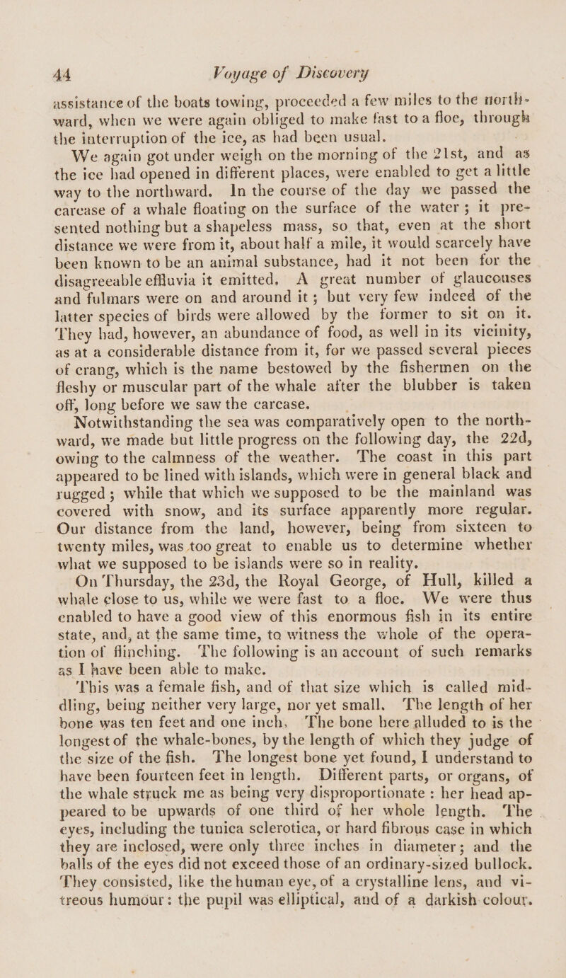 assistance of the boats towing, proceeded a few miles to the north’ ward, vvlien we were again obliged to make fast to a floe, through the interruption of the ice, as had been usual. We again got under weigh on the morning of the 2lst, and as the ice had opened in different places, were enabled to get a little way to the northward. In the course of the day we passed the carcase of a whale floating on the surface of the water ; it pre¬ sented nothing but a shapeless mass, so that, even at the short distance we were from it, about half a mile, it would scarcely have been known to be an animal substance, had it not been for the disagreeable effluvia it emitted, A great number of glaucouses and fulmars were on and around it ; but very few indeed of the latter species of birds were allowed by the former to sit on it. They had, however, an abundance of food, as well in its vicinity, as at a considerable distance from it, for we passed several pieces of crang, which is the name bestowed by the fishermen on the fleshy or muscular part of the whale after the blubber is taken off*, long before we saw the carcase. Notwithstanding the sea was comparatively open to the north¬ ward, we made but little progress on the following day, the 22d, owing to the calmness of the weather. The coast in this part appeared to be lined with islands, which were in general black and rugged; while that which we supposed to be the mainland was covered with snow, and its surface apparently more regular. Our distance from the land, however, being from sixteen to twenty miles, was too great to enable us to determine whether what we supposed to be islands were so in reality. On Thursday, the 2,3d, the Royal George, of Hull, killed a whale close to us, while we were fast to a floe. We were thus enabled to have a good view of this enormous fish in its entire state, and, at the same time, to witness the whole of the opera¬ tion of flincinng. The following is an account of such remarks as I have been able to make. This was a female fish, and of that size which is called mid¬ dling, being neither very large, nor yet small. The length of her bone was ten feet and one inch, The bone here alluded to is the longest of the whale-bones, by the length of which they judge of the size of the fish. The longest bone yet found, I understand to have been fourteen feet in length. Different parts, or organs, of the whale struck me as being very disproportionate : her head ap¬ peared to be upwards of one third of her whole length. The eyes, including the tunica sclerotica, or hard fibrous case in which they are inclosed, were only three inches in diameter; and the balls of the eyes did not exceed those of an ordinary-sized bullock. They consisted, like the human eye, of a crystalline lens, and vi¬ treous humour: the pupil was elliptical, and of a darkish colour.