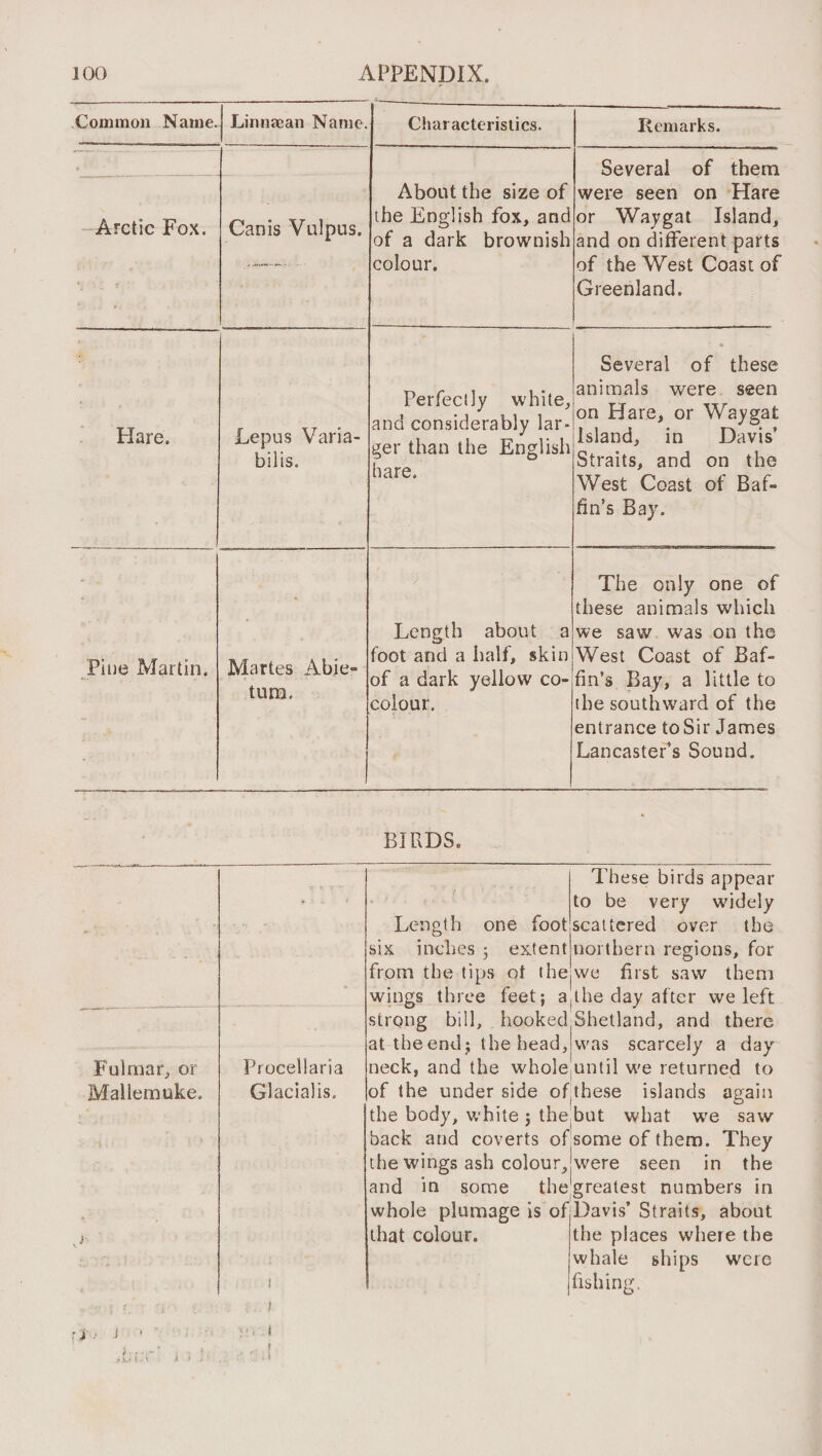 Common Name. Linnaean Name. Ciiaracterislics. Remarks. -Arctic Fox. Canis Vulpus. About the size of the English fox, and of a dark brownish colour. Several of them were seen on Hare or Waygat Island, and on different parts of the West Coast of Greenland. Hare. Lepus Varia- bilis. Perfectly white, and considerably lar¬ ger than the English hare. Several of these animals were seen on Hare, or Waygat Island, in Davis’ Straits, and on the West Coast of Baf¬ fin’s Bay. Pine Martin. Martes Abie- turn. Length about a foot and a half, skin of a dark yellow co- colour. The only one of these animals which we saw was on the West Coast of Baf¬ fin’s Bay, a little to the southward of the entrance to Sir James Lancaster^s Sound. BIPxDS. Fulmar, or Maliemuke. Procellarla Glacialis. one foot These birds appear to be very widely scattered over the Length six inches 5 extentlnorlbern regions, for from the tips ot ihejwe first saw them wings three feet; a|lhe day after we left strong bill, hooked Shetland, and there at the end; the head,'was scarcely a day neck, and the wholciuntil we returned to of the under side of.these islands again the body, white ; the,but what we saw back and coverts ofsome of them. They the wings ash colour,|were seen in the and in some thegreatest numbers in whole plumage is of Davis’ Straits, about that colour. the places where the whale ships were fishing.