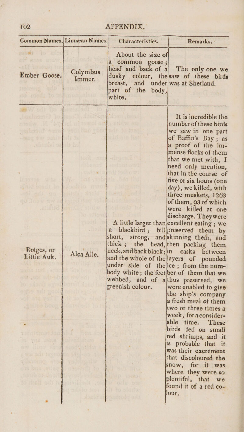 Common Names. Ember Goose, Linnaean Names Colymbus Imaier. Characteristics. Remarks. About the size of a common goose j head and back of a dusky colour, the breast, and under part of the body, white. The only one we saw of these birds was at Shetland. Rotges, or .Little Auk. Alca Alle. A little larger than a blackbird j bill short, strong, and thick j the head, neck, and back black; and the whole of the under side of the body white 3 the feet webbed, and of a greenish colour. It is incredible the number of these birds we saw in one part of Baffin’s Bay 3 as a proof of the im¬ mense flocks of them that we met with, I need only mention, that in the course of five or six hours (one day), we killed, with three muskets, 1263 of them, 93 of which were killed at one discharge. They were excellent eating 3 we preserved them by skinning them, and then packing them in casks between layers of pounded ice 3 from the num¬ ber of them that we thus preserved, we were enabled to give the ship’s company a fresh meal of them two or three times a week, for a consider¬ able time. These birds fed on small red shrimps, and it is probable that it was their excrement that discoloured the snow, for it was where they were so plentiful, that we found it of a red co¬ lour.