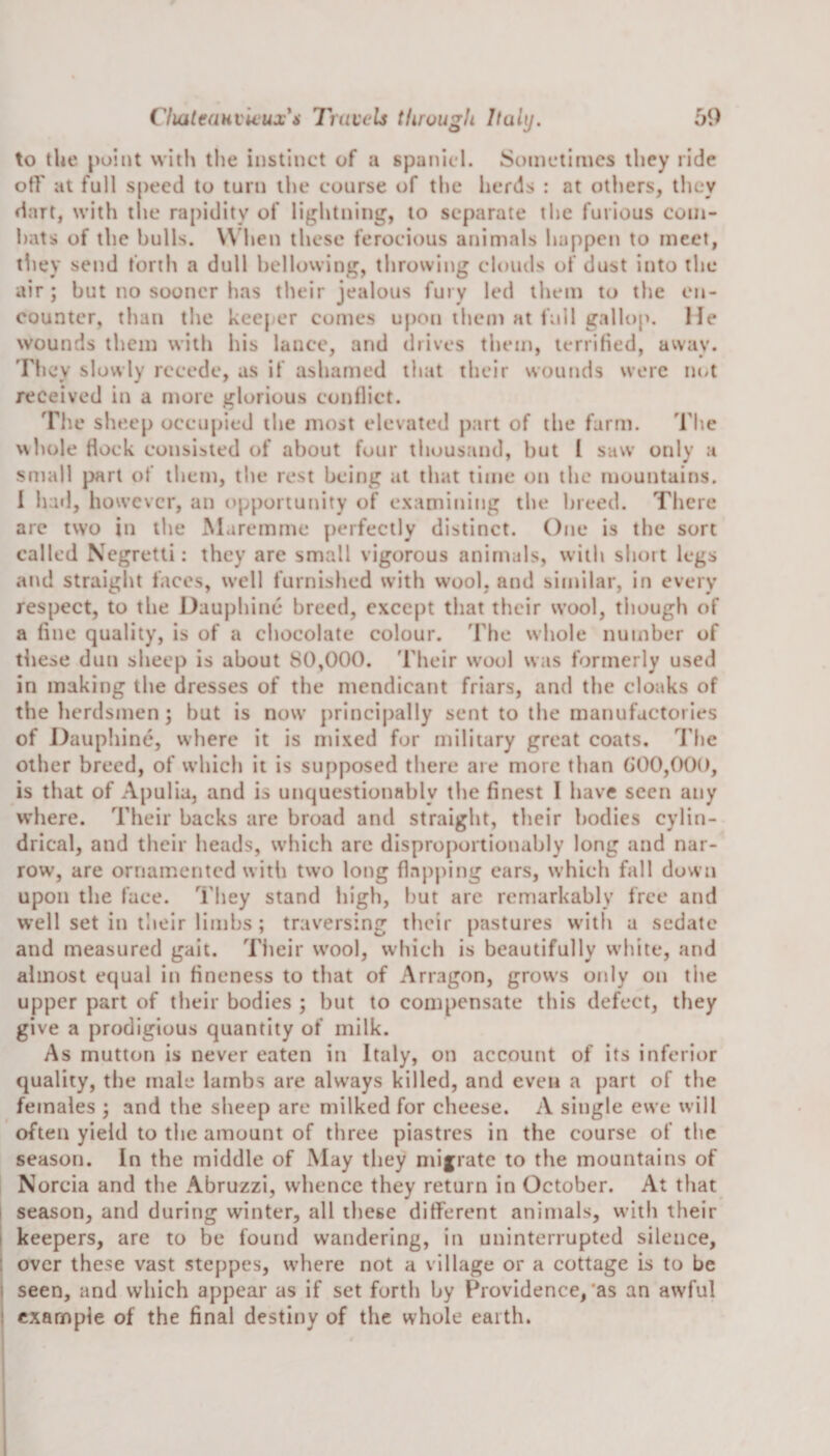 to the point with the instinct of a spaniel. Sometimes they ride off at full speed to turn the course of the herds : at others, they dart, with the rapidity of lightning, to separate the furious coin- hats of the bulls. When these ferocious animals happen to meet, they send forth a dull bellowing, throwing clouds of dust into the air; but no sooner has their jealous fury led them to the en¬ counter, than the keeper comes upon them at full gallop. He wounds them with his lance, and drives them, terrified, away. They slowly recede, as if ashamed that their wounds were not received in a more glorious conflict. The sheep occupied the most elevated part of the farm. The whole Hock consisted of about four thousand, but l saw only a small part of them, the rest being at that time on the mountains. 1 had, however, an opportunity of examining the breed. There are two in the Maremme perfectly distinct. One is the sort called Negretti: they are small vigorous animals, with short legs and straight faces, well furnished with wool, and similar, in every respect, to the Dauphinc breed, except that their wool, though of a fine quality, is of a chocolate colour. The whole number of these dun sheep is about 80,000. Their wool was formerly used in making the dresses of the mendicant friars, and the cloaks of the herdsmen; but is now principally sent to the manufactories of Dauphinc, where it is mixed for military great coats. The other breed, of which it is supposed there are more than 000,000, is that of Apulia, and is unquestionably the finest I have seen any where. Their backs are broad and straight, their bodies cylin¬ drical, and their heads, which are disproportionably long and nar¬ row, are ornamented with two long flapping cars, which fall duvvn upon the face. They stand high, but are remarkably free and well set in their limbs; traversing their pastures with a sedate and measured gait. Their wool, which is beautifully white, and almost equal in fineness to that of Arragon, grows only on the upper part of their bodies ; but to compensate this defect, they give a prodigious quantity of milk. As mutton is never eaten in Italy, on account of its inferior quality, the male lambs are always killed, and even a part of the females ; and the sheep are milked for cheese. A single ewe will often yield to the amount of three piastres in the course of the season. In the middle of May they migrate to the mountains of Norcia and the Abruzzi, whence they return in October. At that season, and during winter, all these different animals, with their keepers, are to be found wandering, in uninterrupted sileuce, over these vast steppes, where not a village or a cottage is to be seen, and which appear as if set forth by Providence,'as an awful example of the final destiny of the whole earth.