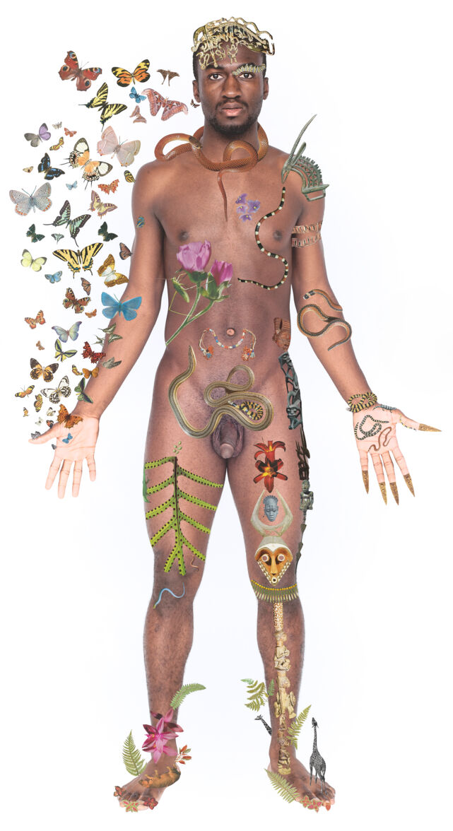 No text description is available for this image