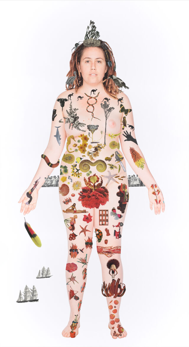 No text description is available for this image