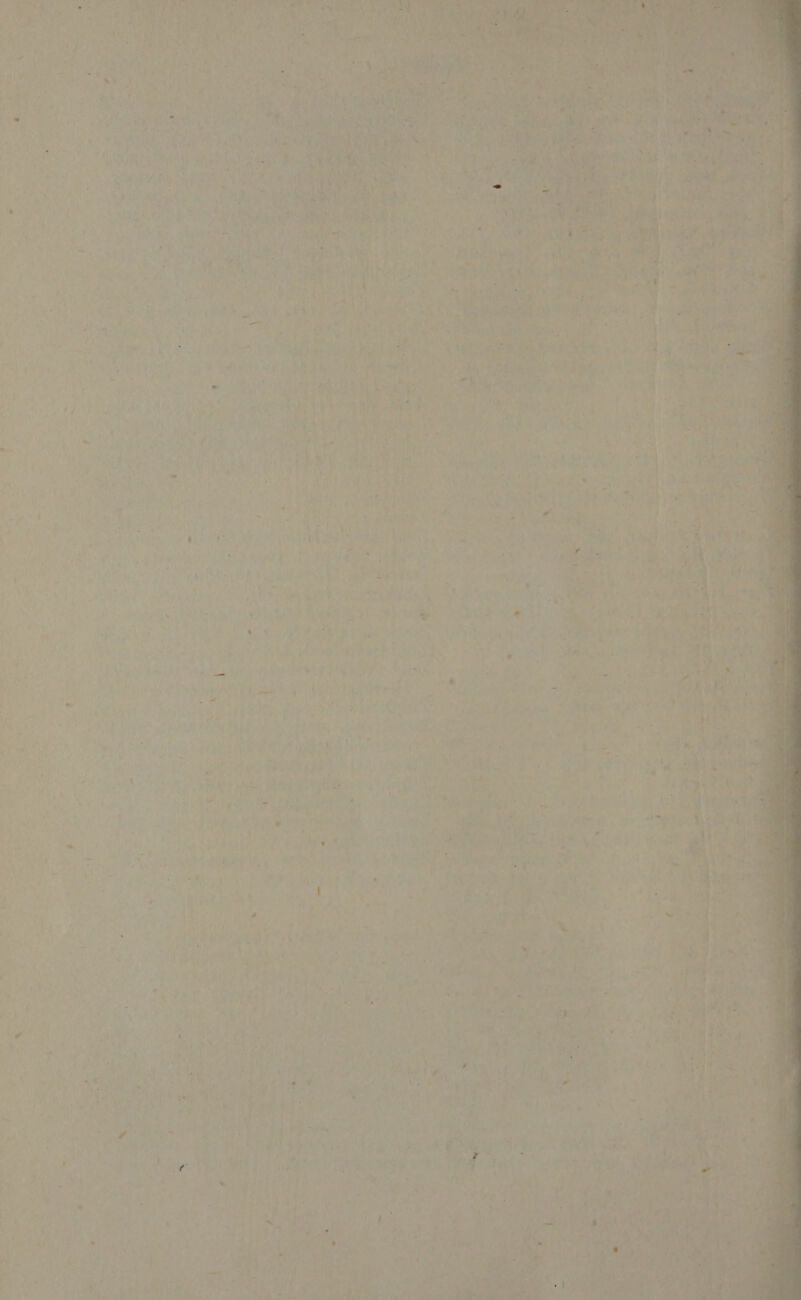    eel a . MALAY: ao Whe orgies = oe! he aa der fa’ 4;       - 1 a] ¥ —¥ : 4 nS « &gt; t 8 { ay  ba 4 * ; a ae ‘ , 34) ‘+ a2 % j ba had 1h my y i } t ga i * i: = . ee oe AD r . v ’ ius is e OS BEA AT epee hi tugt CN itty Ne oly ; 4 4 : -=3 i “0 ' a . : ot ry Sage od . a ei ie by ” va a a ig d °       : if i an 47 2 het ek LJ FF yd 04 ‘he tie baits 7 a M4 prey 79 &lt; (ee eo $f 1 2ayn4 aaA® Po Ube cere ry Oe ino j« » ta ay 4 (toy ra i pe ert 7 a veh eee —— 