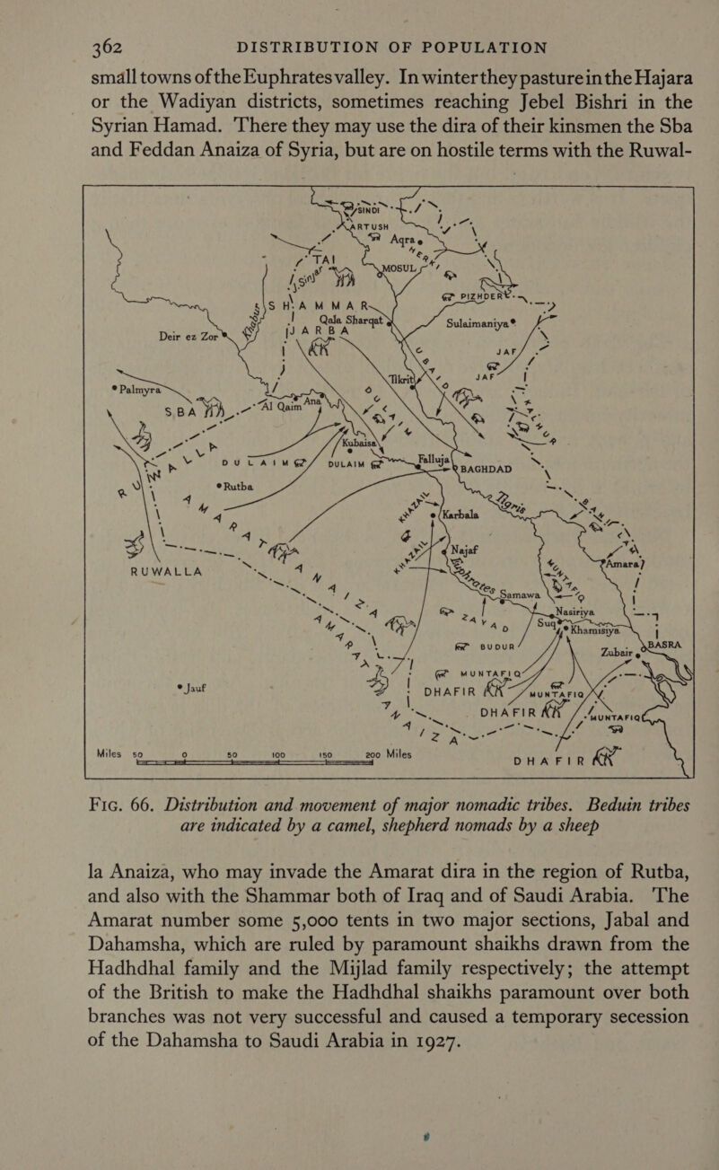 small towns of the Euphrates valley. In winterthey pastureinthe Hajara or the Wadiyan districts, sometimes reaching Jebel Bishri in the Syrian Hamad. There they may use the dira of their kinsmen the Sba and Feddan Anaiza of Syria, but are on hostile terms with the Ruwal- Leys 7 “ 5 UAARTUSH vi i a Aqrae Dis! 4 4 r i apts MOSUL °* es hs 7 o \ GP _PIZHDERY. ~ e RBA \      earns   Deir ez Zor ® Palmyra .-# Tes  eee y  RUWALLA i Suq ean 4 Sars ° Jauf : Sea oe fie ele ay ae 74 ah 4 Pan al, R pad, 4 a be —. oie 5, 4 es 4 gi Miles 50 ) 50 ee nt EP 200 Miles DHA FIR AR” Fic. 66. Distribution and movement of major nomadic tribes. Beduin tribes are indicated by a camel, shepherd nomads by a sheep     la Anaiza, who may invade the Amarat dira in the region of Rutba, and also with the Shammar both of Iraq and of Saudi Arabia. The Amarat number some 5,000 tents in two major sections, Jabal and Dahamsha, which are ruled by paramount shaikhs drawn from the Hadhdhal family and the Mijlad family respectively; the attempt of the British to make the Hadhdhal shaikhs paramount over both branches was not very successful and caused a temporary secession of the Dahamsha to Saudi Arabia in 1927.