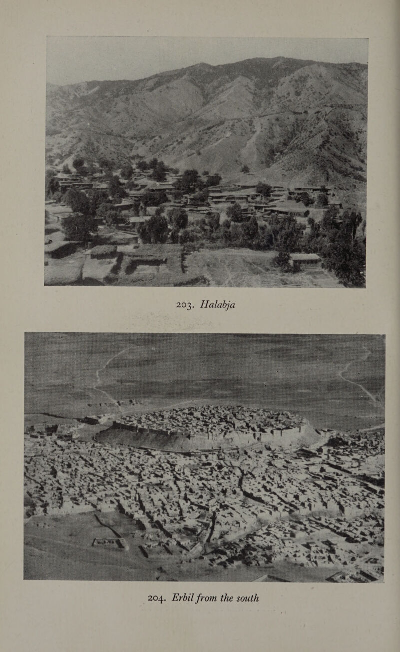  203. Halabja  204. Erbil from the south