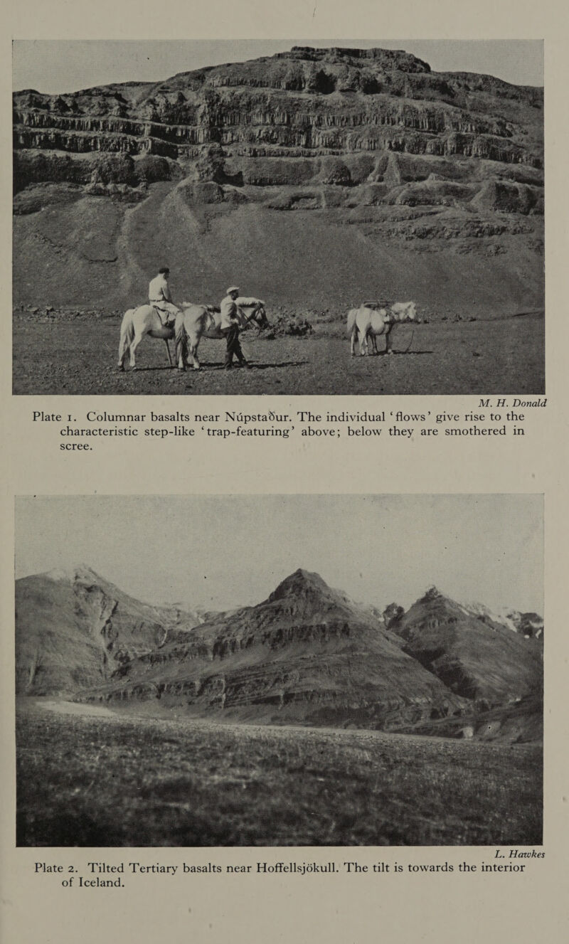  M. H. Donald Plate 1. Columnar basalts near Nupstadur. The individual ‘flows’ give rise to the characteristic step-like ‘trap-featuring’ above; below they are smothered in scree. 