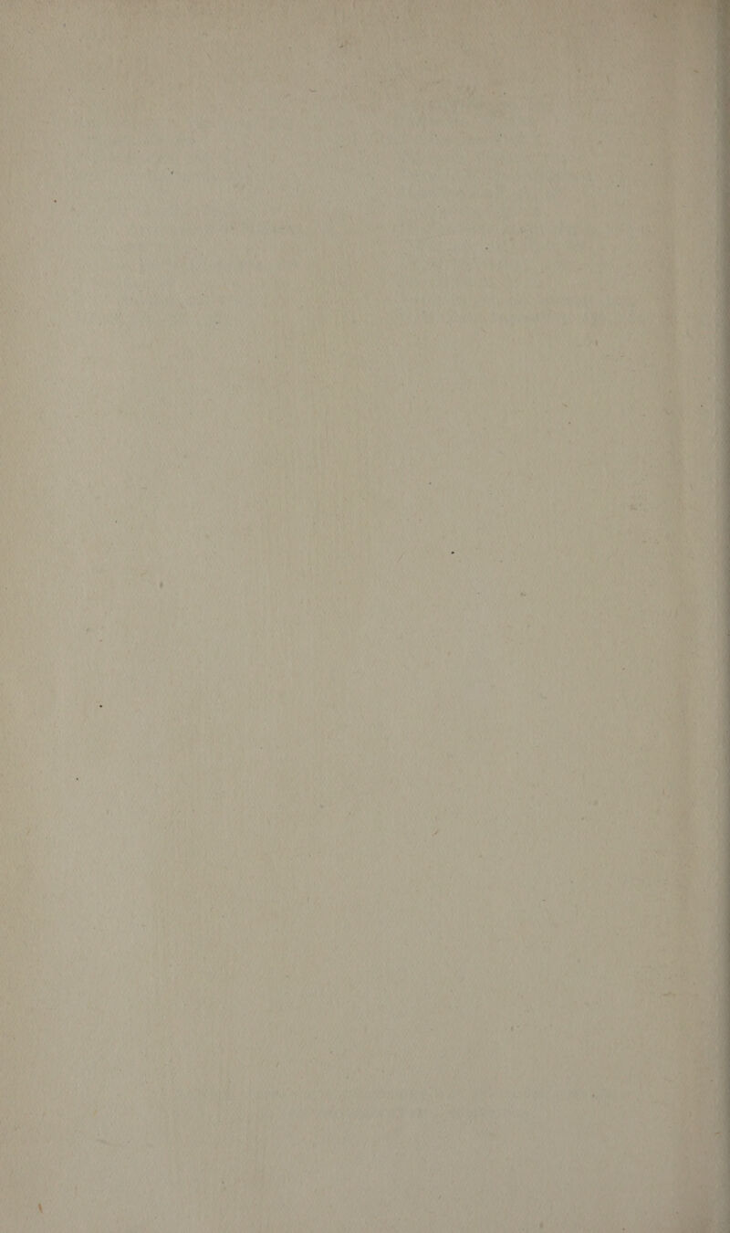 is hat ane RYO NAME Santo VL auPsg N a ‘ SN A ha 