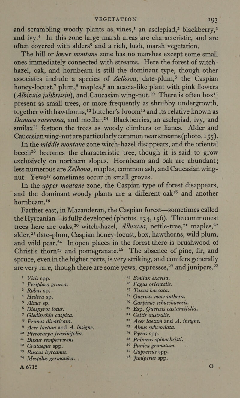 and scrambling woody plants as vines,' an asclepiad,? blackberry, and ivy.* In this zone large marsh areas are characteristic, and are often covered with alders5 and a rich, lush, marsh vegetation. The hill or Jower montane zone has no marshes except some small ones immediately connected with streams. Here the forest of witch- hazel, oak, and hornbeam is still the dominant type, though other associates include a species of Zelkova, date-plum,° the Caspian honey-locust,” plum,’ maples,? an acacia-like plant with pink flowers (Albizzia julibrissin), and Caucasian wing-nut.'° ‘There is often box! present as small trees, or more frequently as shrubby undergrowth, together with hawthorns,'? butcher’s broom? and its relative known as Danaea racemosa, and medlar.'* Blackberries, an asclepiad, ivy, and smilax!5 festoon the trees as woody climbers or lianes. Alder and Caucasian wing-nut are particularly common near streams(photo. 155). In the middle montane zone witch-hazel disappears, and the oriental beech!® becomes the characteristic tree, though it is said to grow exclusively on northern slopes. Hornbeam and oak are abundant; less numerous are Zelkova, maples, common ash, and Caucasian wing- nut. Yews!7 sometimes occur in small groves. In the upper montane zone, the Caspian type of forest disappears, and the dominant woody plants are a different oak'® and another hornbeam.?9 Farther east, in Mazanderan, the Caspian forest—sometimes called the Hyrcanian—is fully developed (photos. 134, 156). ‘he commonest trees here are oaks,?° witch-hazel, Albizzia, nettle-tree,?1 maples,” alder,?3 date-plum, Caspian honey-locust, box, hawthorns, wild plum, and wild pear.24 Inopen places in the forest there is brushwood of Christ’s thorn?’ and pomegranate.”° The absence of pine, fir, and spruce, even in the higher parts, is very striking, and conifers generally are very rare, though there are some yews, cypresses,?” and junipers.”® 1 Vitis spp. 1S Smilax excelsa. 2 Periploca graeca. 16 Fagus orientalis. 3 Rubus sp. 17 Taxus baccata. 4 Hedera sp. 18 Quercus macranthera. 5 Alnus sp. 19 Carpinus schuschaensis. 6 Diospyros lotus. 20 Esp. Quercus castanetfolia. 7 Gleditschia caspica. 21 Celtis australis. 8 Prunus divaricata. 22 Acer laetum and A. insigne. 9 Acer laetum and A. insigne. 23 Alnus subcordata, 10 Pterocarya fraxinifolia. 24 Pyrus spp. 11 Buxus sempervirens 25 Paliurus spinachristi. 12 Crataegus spp. 26 Punica granatum. 13 Ruscus hyrcanus. 27 Cupressus spp. 14 Mespilus germanica. 28 Funiperus spp. A 6715 4 O
