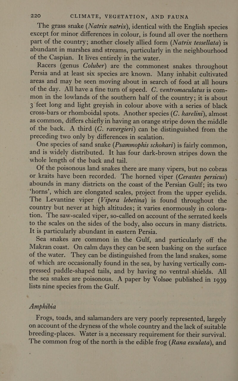 The grass snake (Natrix natrix), identical with the English species except for minor differences in colour, is found all over the northern part of the country; another closely allied form (Natrix tessellata) is abundant in marshes and streams, particularly in the neighbourhood of the Caspian. It lives entirely in the water. Racers (genus Coluber) are the commonest snakes throughout Persia and at least six species are known. Many inhabit cultivated areas and may be seen moving about in search of food at all hours of the day. All have a fine turn of speed. C. ventromaculatus is com- mon in the lowlands of the southern half of the country; it is about 3 feet long and light greyish in colour above with a series of black cross-bars or rhomboidal spots. Another species (C. karelini), almost as common, differs chiefly in having an orange stripe down the middle of the back. A third (C. ravergieri) can be distinguished from the preceding two only by differences in scalation. One species of sand snake (Psammophis schokart) is fairly common, and is widely distributed. It has four dark-brown stripes down the whole length of the back and tail. Of the poisonous land snakes there are many vipers, but no cobras or kraits have been recorded. The horned viper (Cerastes persicus) abounds in many districts on the coast of the Persian Gulf; its two ‘horns’, which are elongated scales, project from the upper eyelids. The Levantine viper (Vipera lebetina) is found throughout the country but never at high altitudes; it varies enormously in colora- tion. The saw-scaled viper, so-called on account of the serrated keels to the scales on the sides of the body, also occurs in many districts. It is particularly abundant in eastern Persia. Sea snakes are common in the Gulf, and particularly off the Makran coast. On calm days they can be seen basking on the surface of the water. They can be distinguished from the land snakes, some of which are occasionally found in the sea, by having vertically com- pressed paddle-shaped tails, and by having no ventral-shields. All the sea snakes are poisonous. A paper by Volsge published in 1939 lists nine species from the Gulf. | Amphibia Frogs, toads, and salamanders are very poorly represented, largely on account of the dryness of the whole country and the lack of suitable breeding-places. Water is a necessary requirement for their survival. The common frog of the north is the edible frog (Rana esculata), and