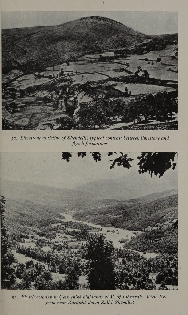  50. Limestone anticline of Shéndélli: typical contrast between limestone and flysch formations 