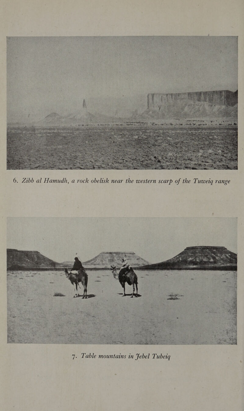  6. Zibb al Hamudh, a rock obelisk near the western scarp of the Tuweig range 