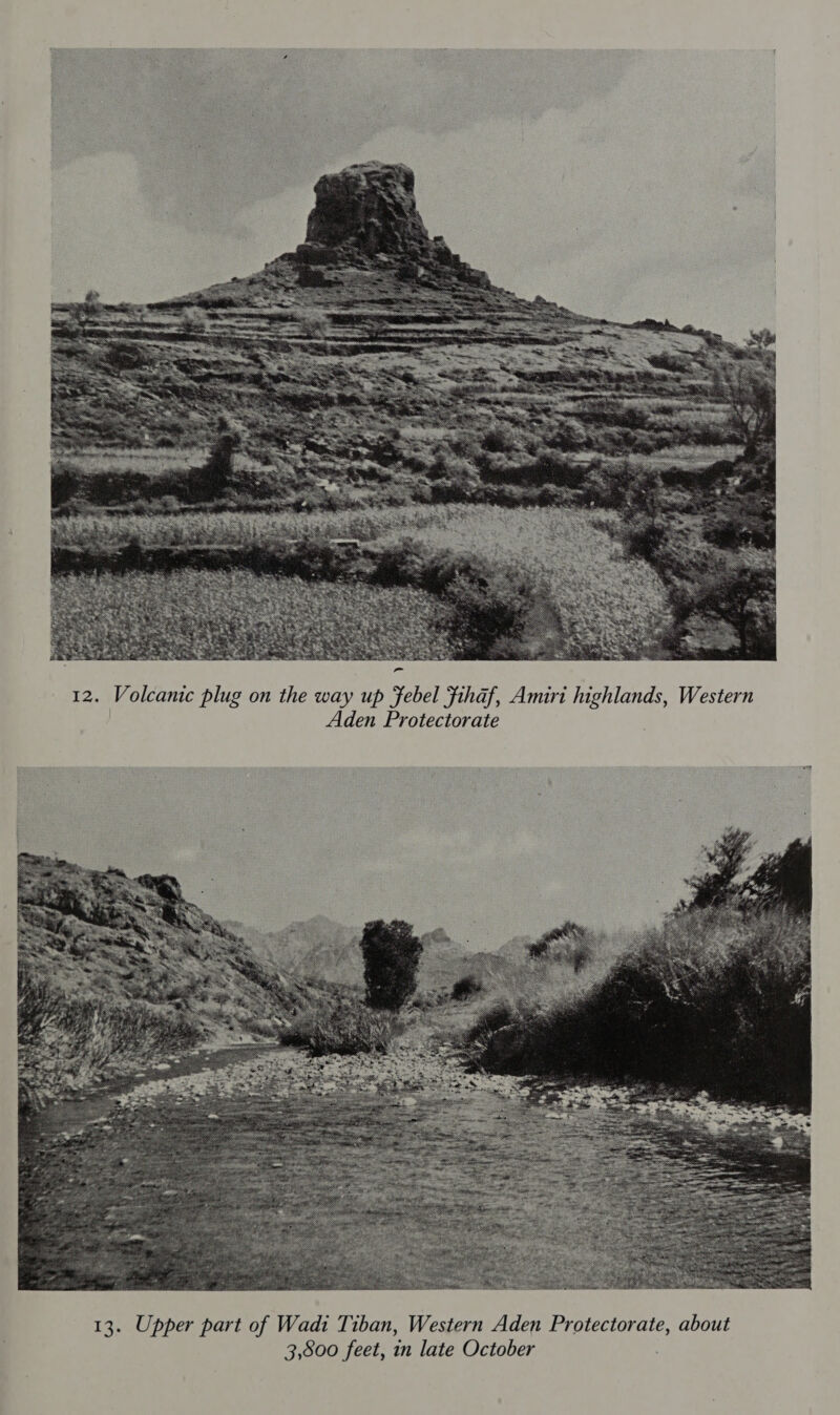  ~~ 12. Volcanic plug on the way up febel fihaf, Amiri highlands, Western Aden Protectorate 