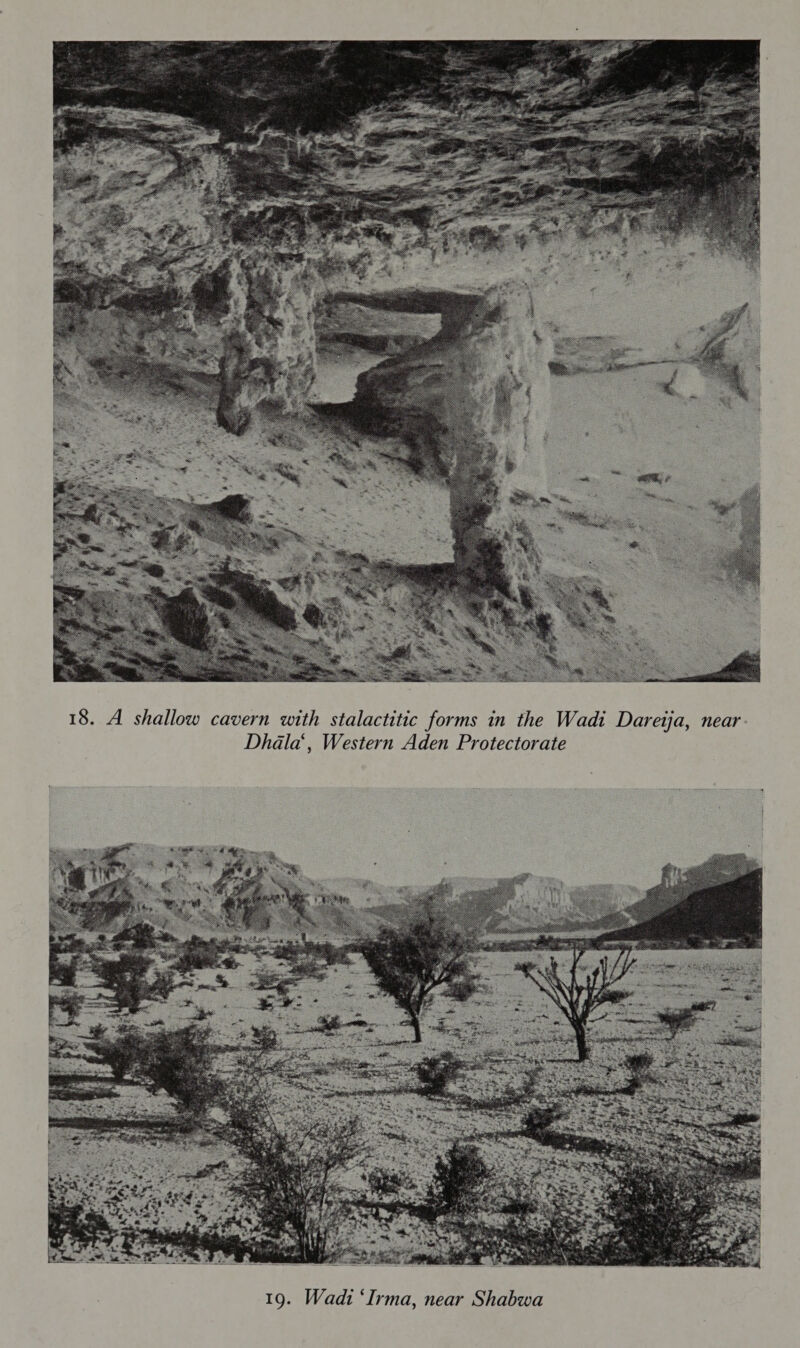 18. A shallow  cavern with stalactitic forms in the Wadi Daretja, near Dhdla‘, Western Aden Protectorate 