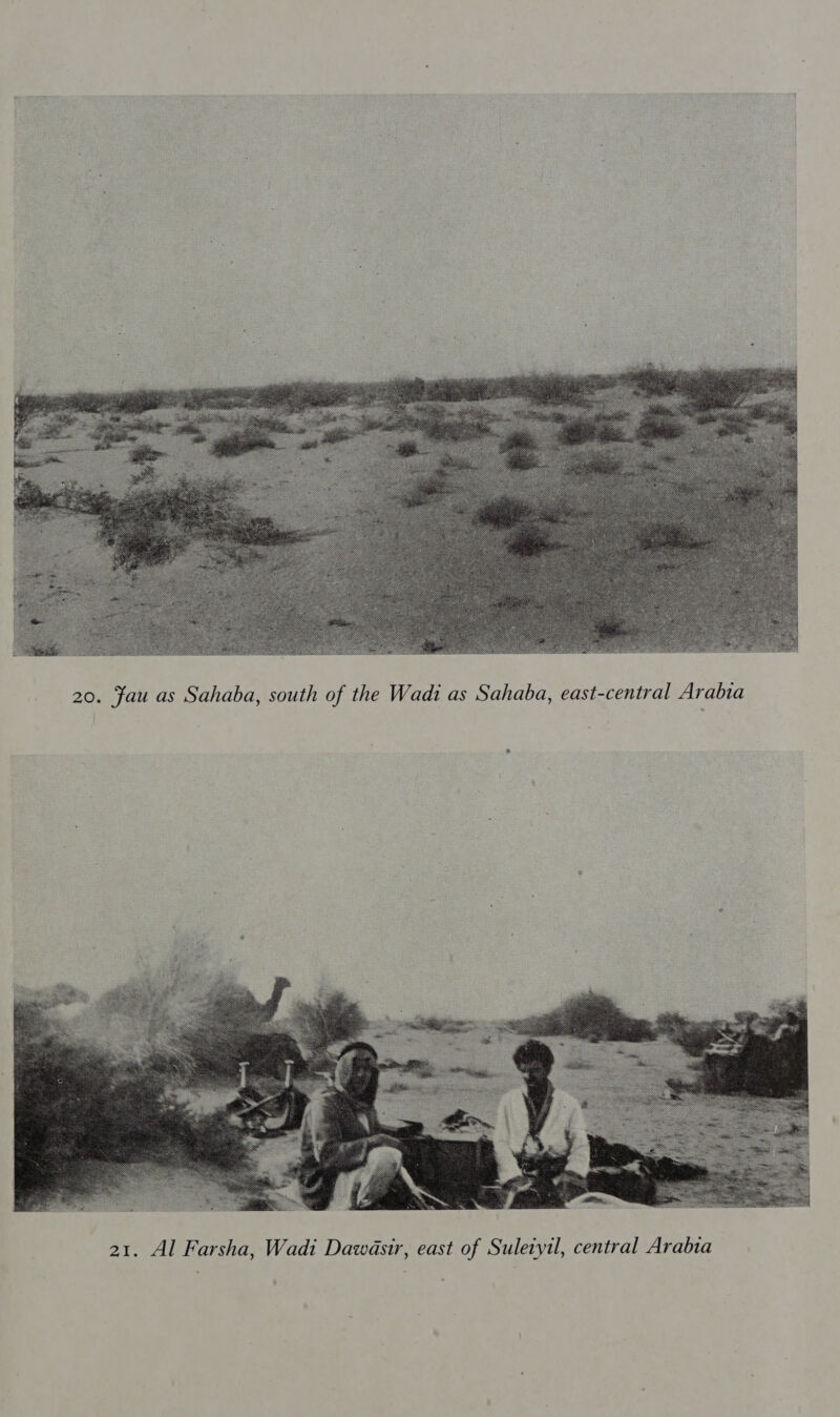  20. fau as Sahaba, south of the Wadi as Sahaba, east-central Arabia e 