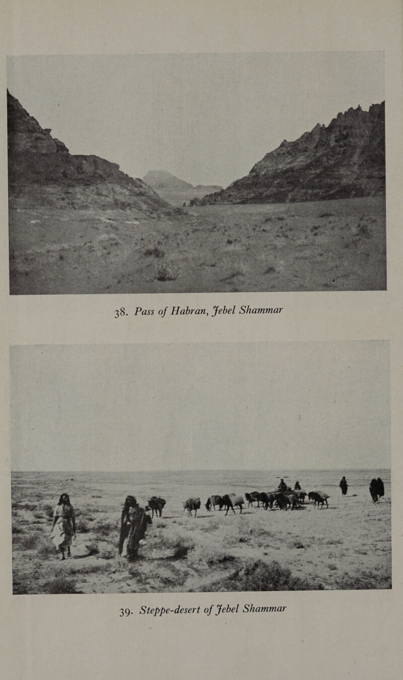  38. Pass of Habran, Febel Shammar 