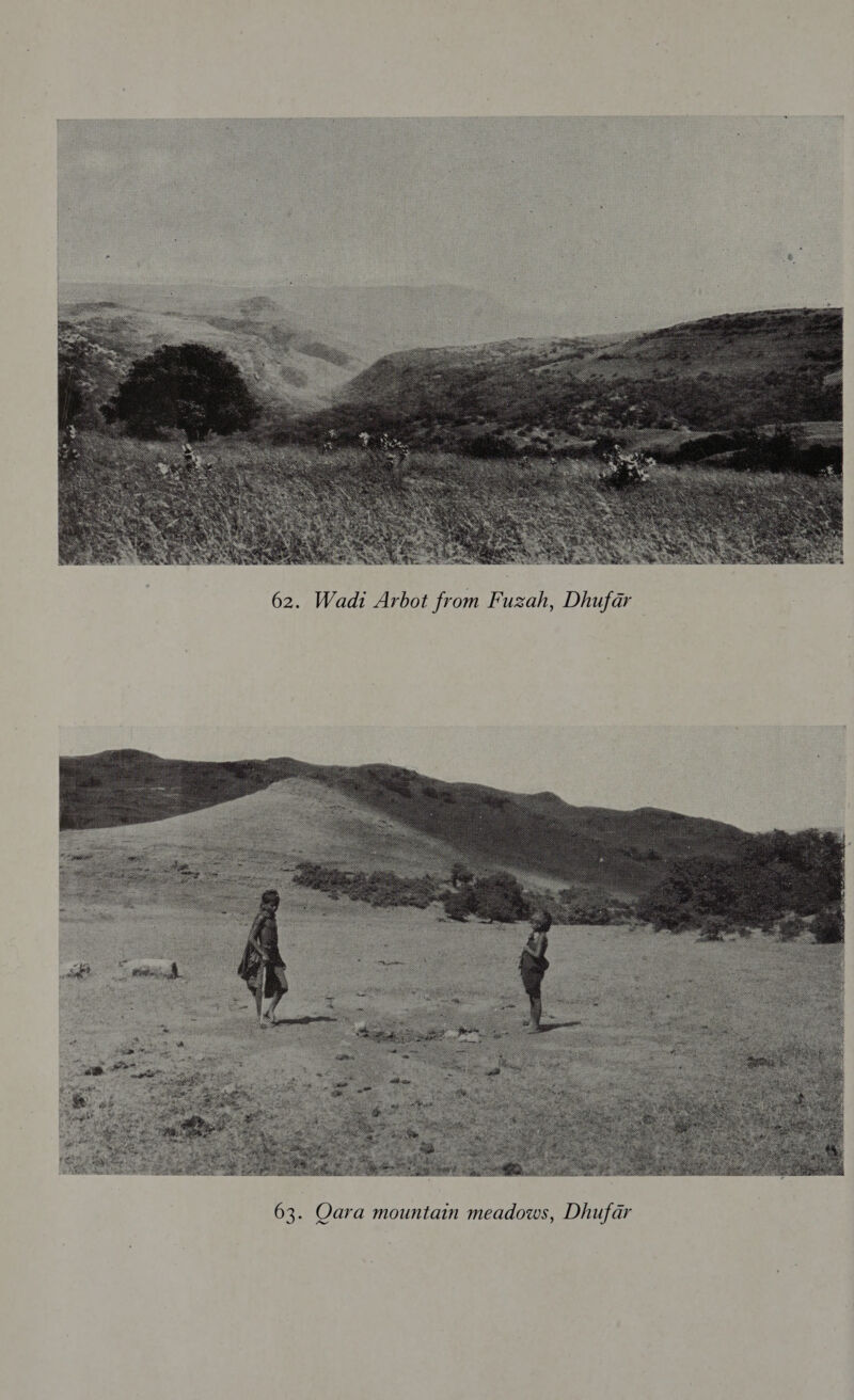  62. Wadi Arbot from Fuzah, Dhufar 