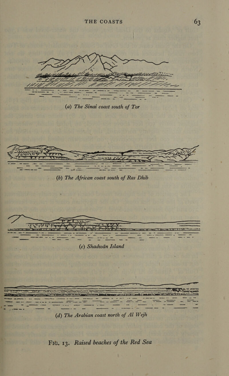    Li LLO AS ~~ BL Ze,   (6) The African coast south of Ras Dhib  (c) Shadwan Island  FiG. 13. Raised beaches of the Red Sea