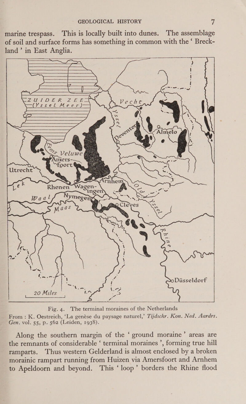 marine trespass. This is locally built into dunes. ‘The assemblage of soil and surface forms has something in common with the ‘ Breck- land’ in East Anglia.  : 0 Diisseldorf 20 Miles a Mes pet eae eee Fig. 4. The terminal moraines of the Netherlands From : K. Oestreich, ‘La genése du paysage naturel,’ Tijdschr. Kon. Ned, Aardrs. Gen. vol. 55, p. 562 (Leiden, 1938). Along the southern margin of the ‘ ground moraine’ areas are the remnants of considerable ‘ terminal moraines ’, forming true hill ramparts. Thus western Gelderland is almost enclosed by a broken morainic rampart running from Huizen via Amersfoort and Arnhem to Apeldoorn and beyond. This ‘loop’ borders the Rhine flood