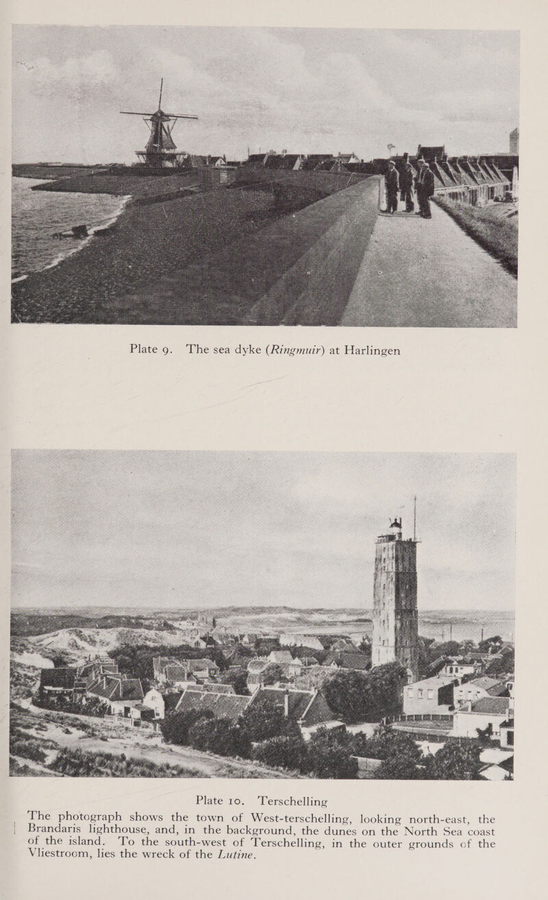  Plate 9. The sea dyke (Ringmuir) at Harlingen 